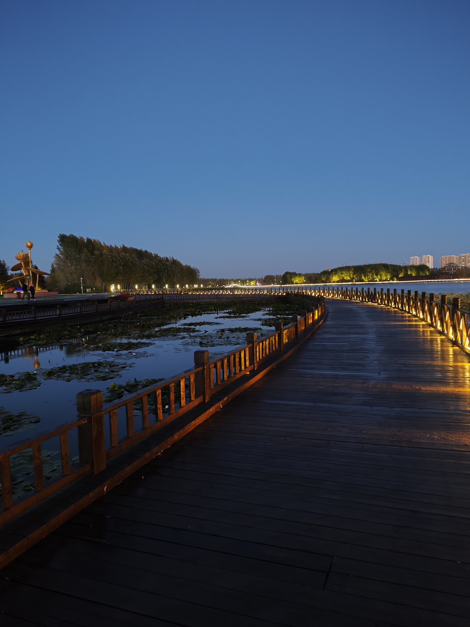 方正湖公园旅行图片 3