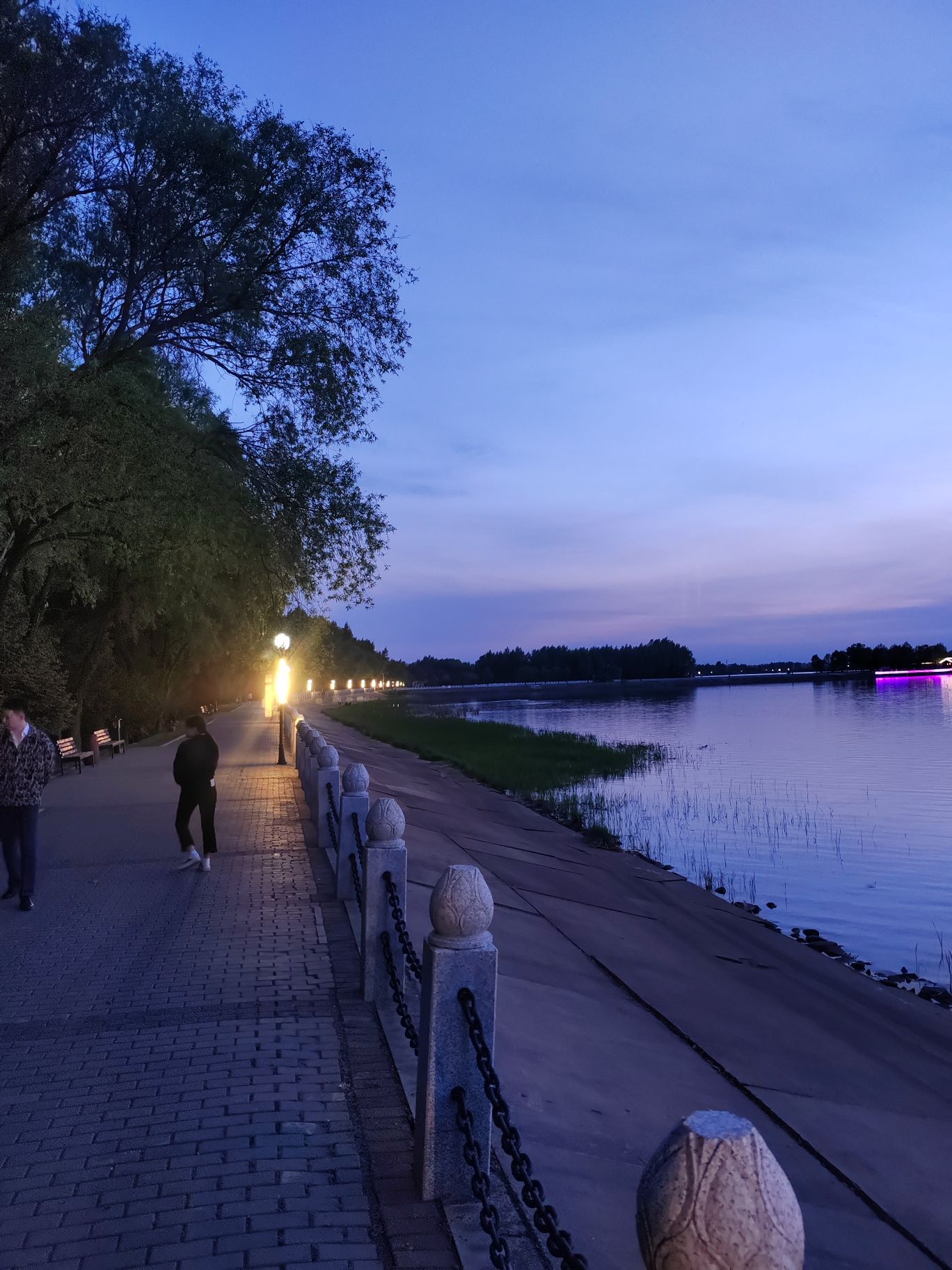 方正湖公园旅行图片 3