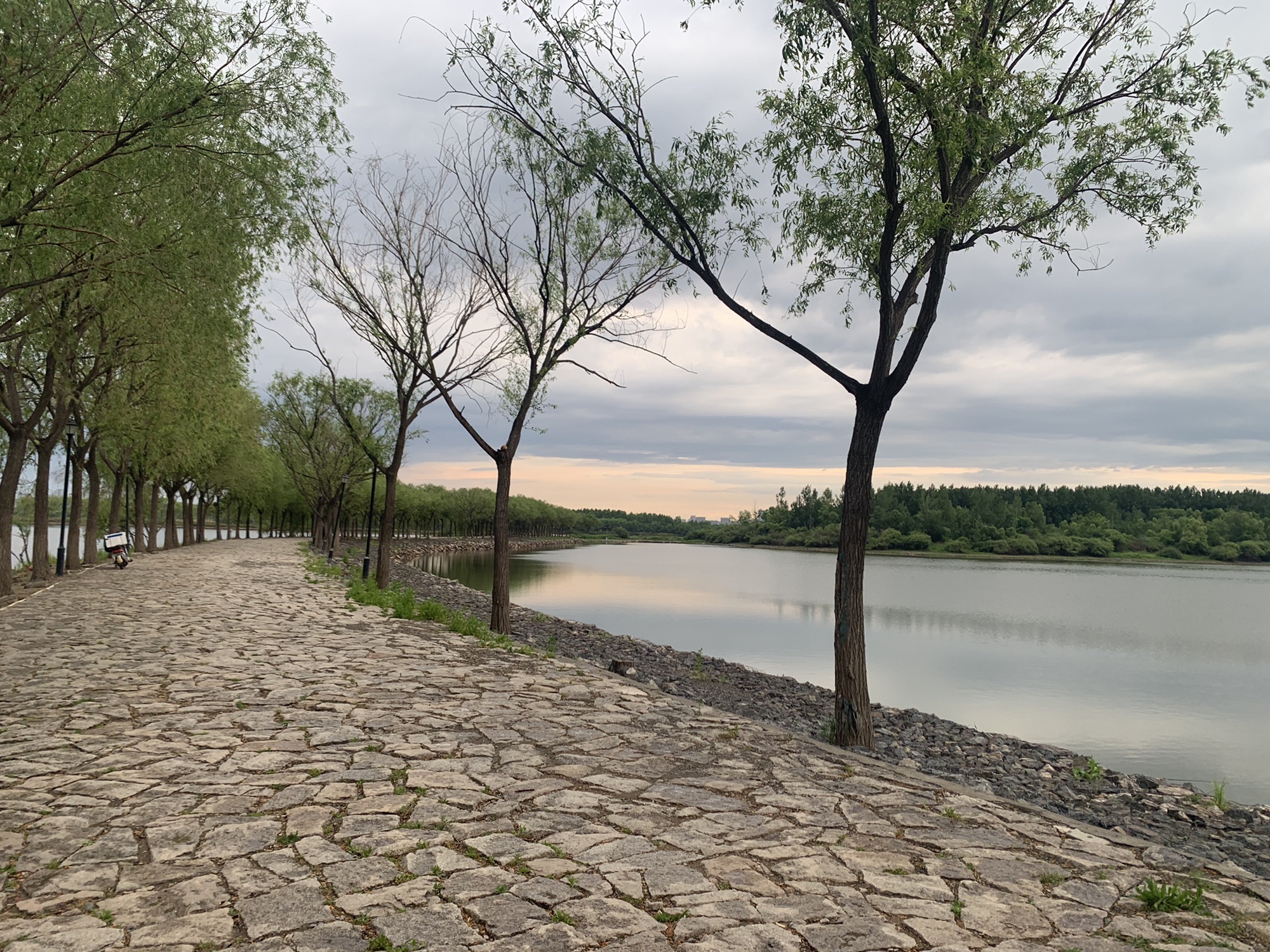 黑龙江哈尔滨太阳岛国家湿地公园旅行图片 3