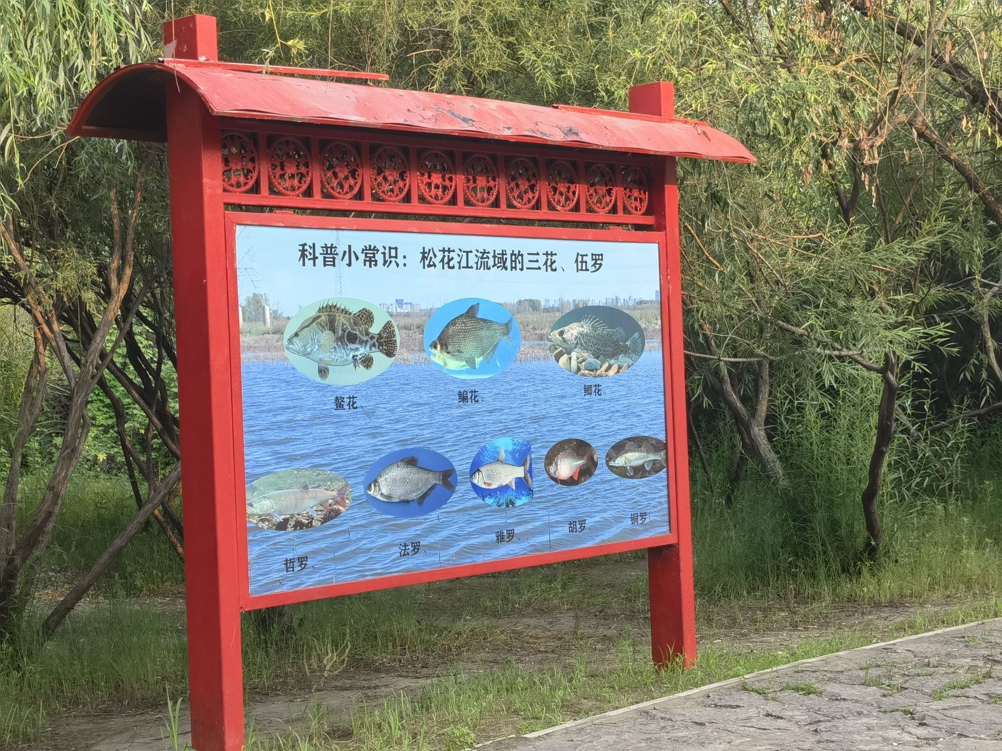 黑龙江哈尔滨太阳岛国家湿地公园旅行图片 3