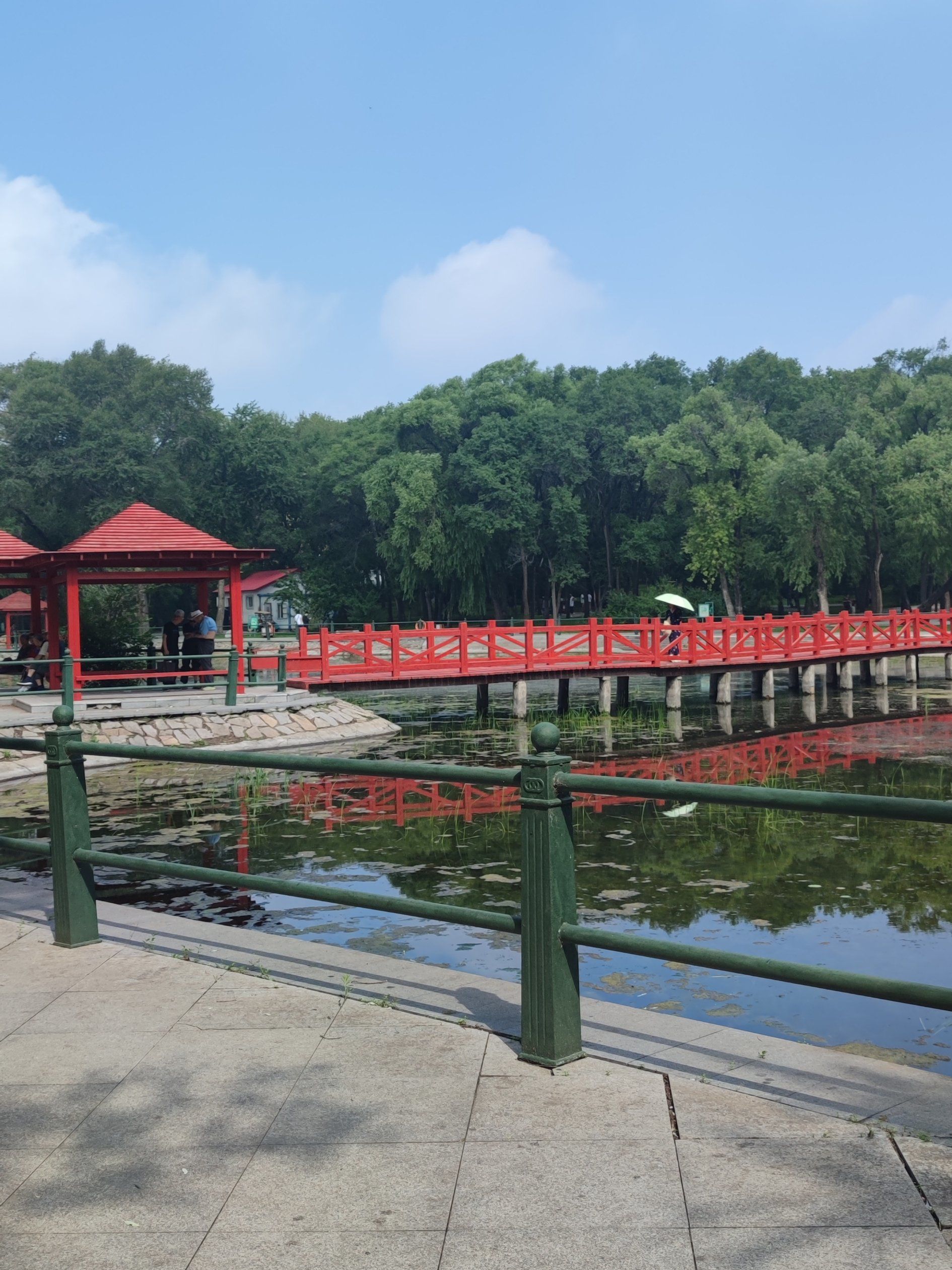 翠柳公园旅行图片 3