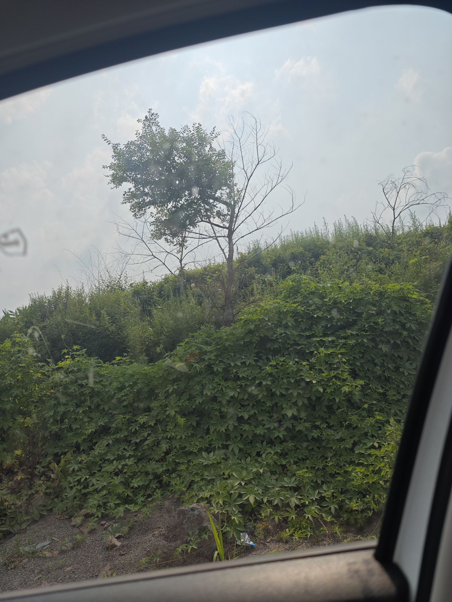 庆华古山寨遗址旅行图片 1