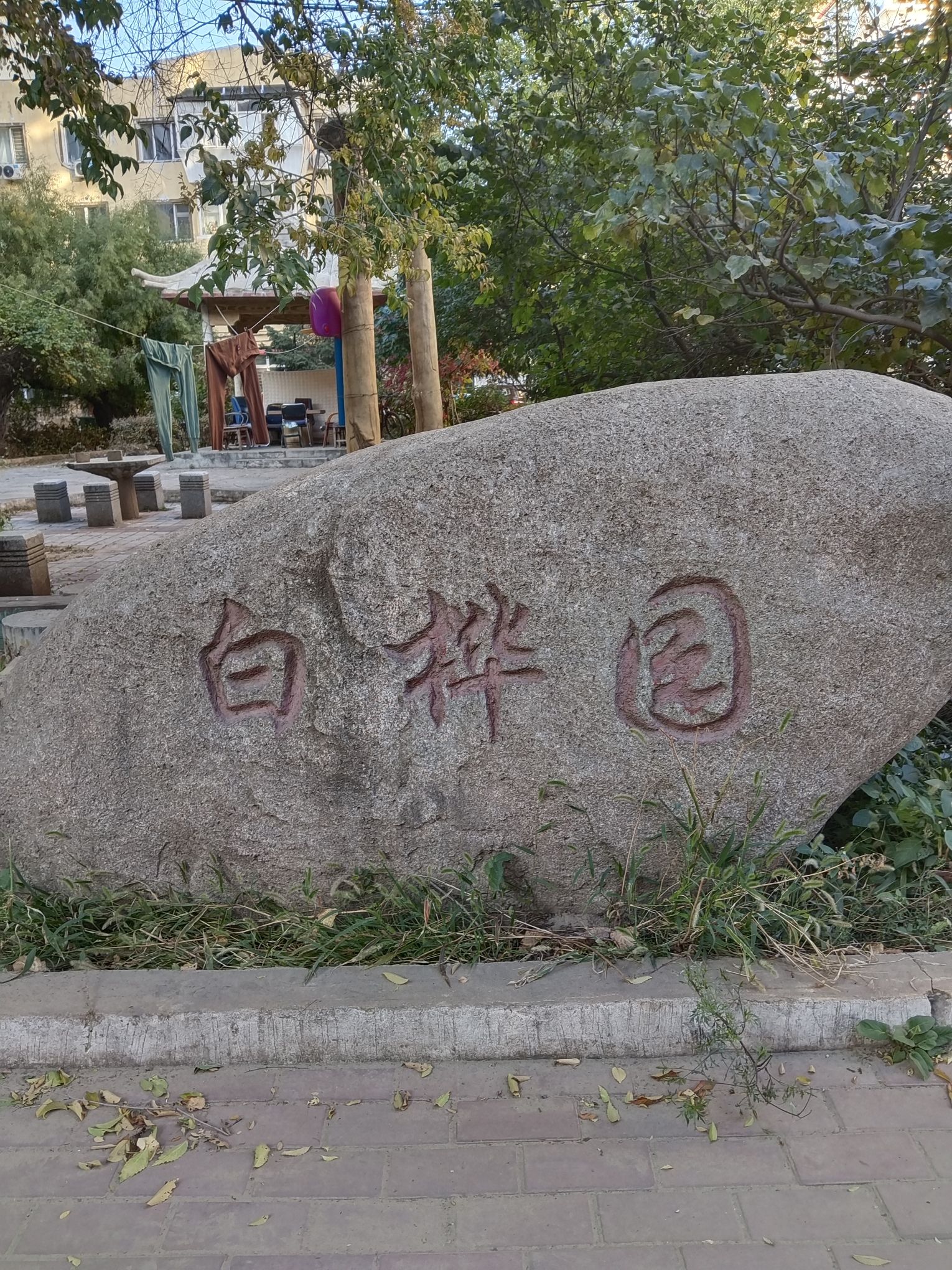 白桦园旅行图片 1