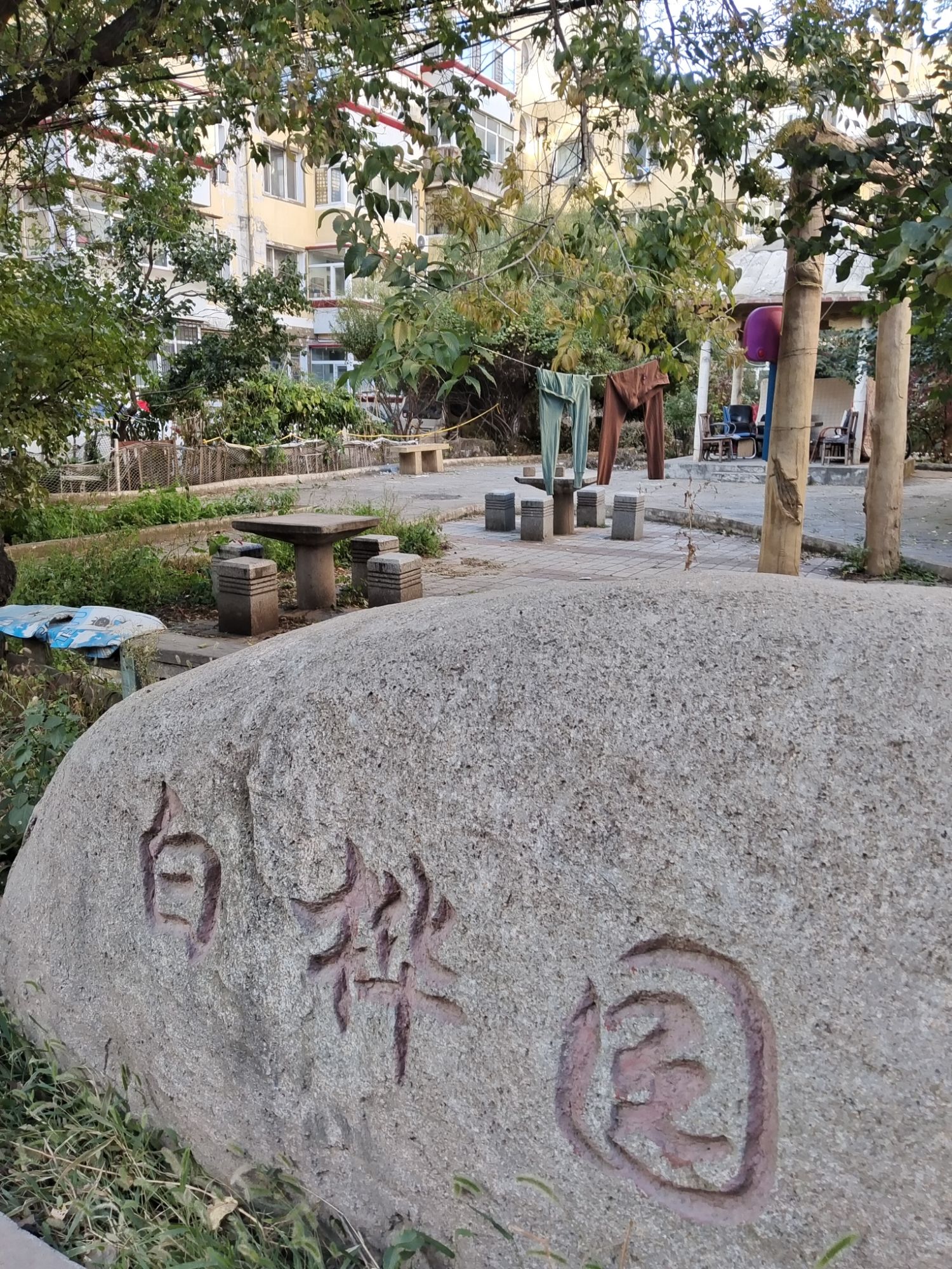 白桦园旅行图片 3