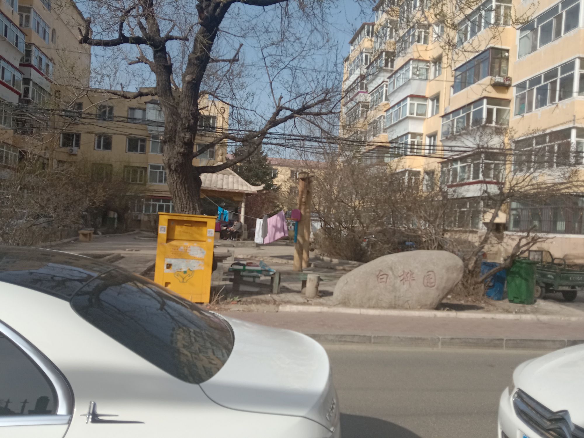 白桦园旅行图片 1