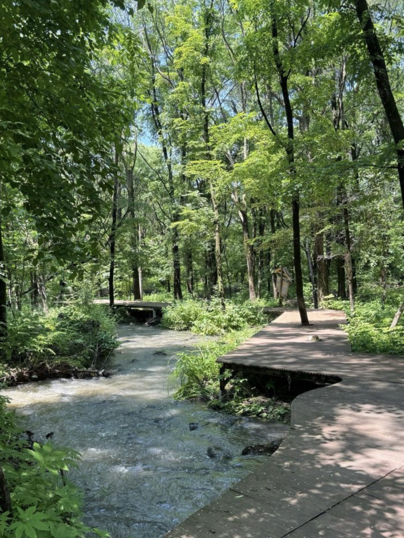金龙山国家森林公园旅行图片 2