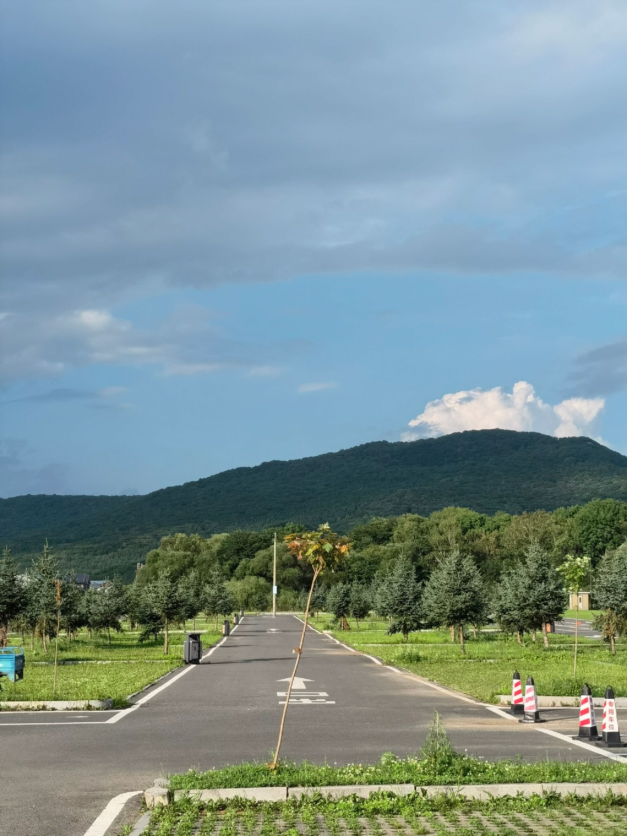 金龙山国家森林公园旅行图片 1
