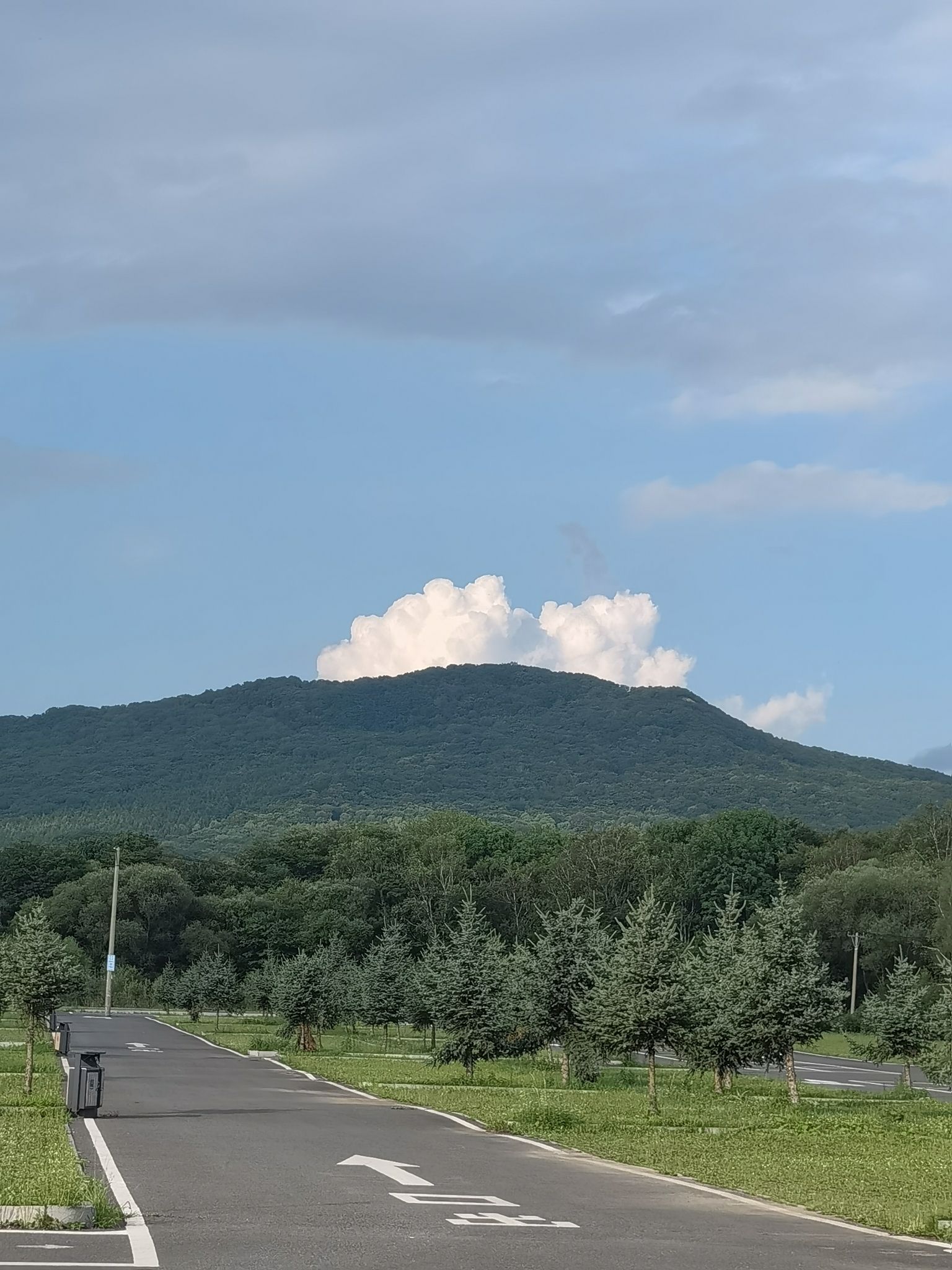 金龙山国家森林公园旅行图片 2