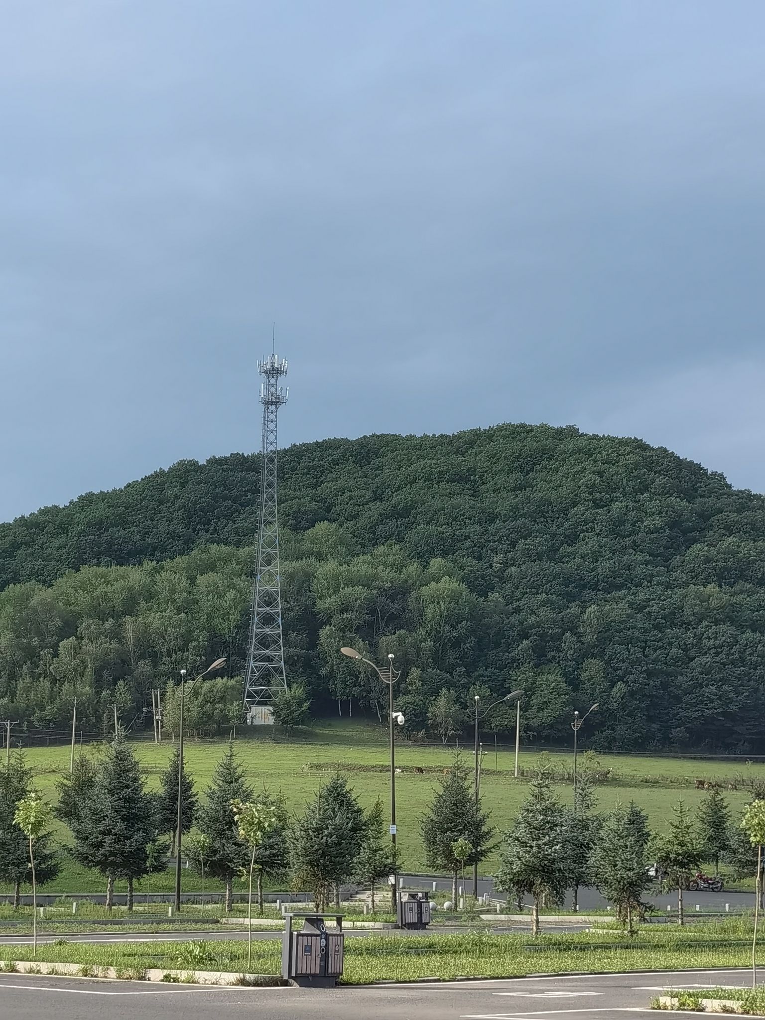 金龙山国家森林公园旅行图片 3