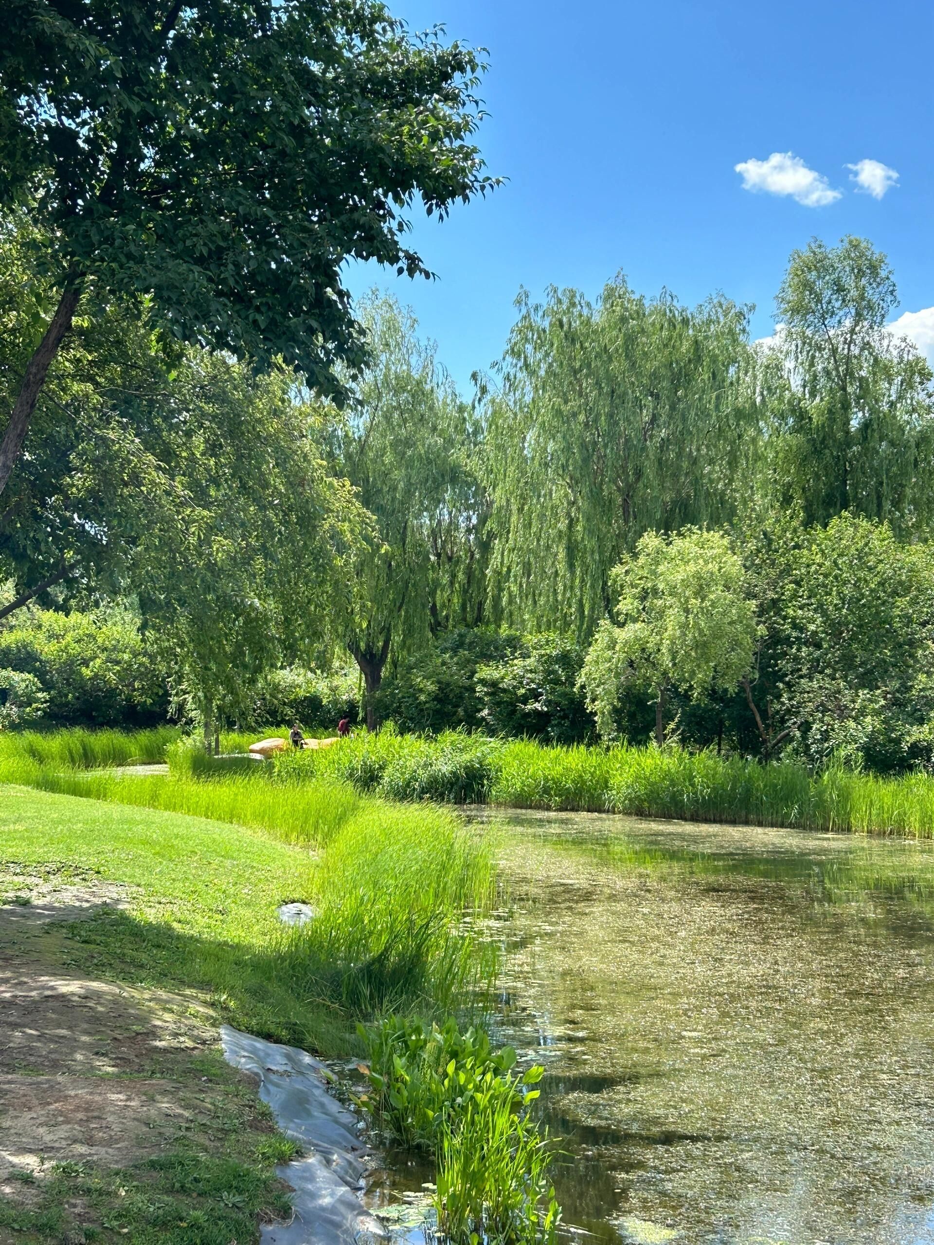 丁香公园旅行图片 1
