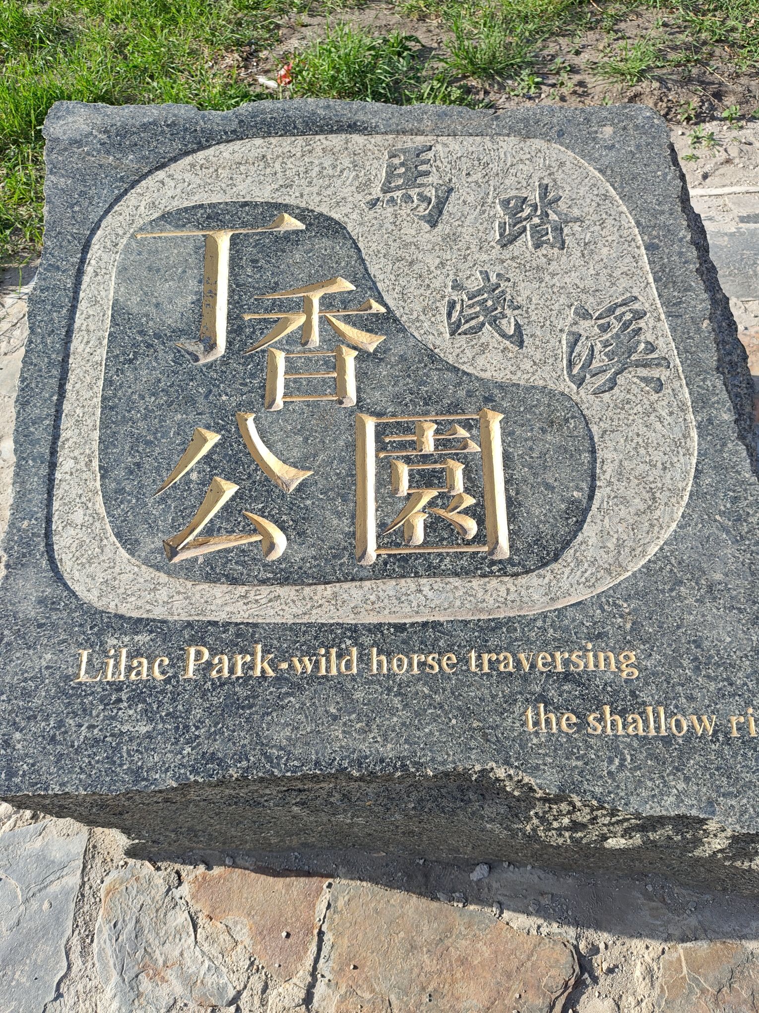丁香公园旅行图片 3