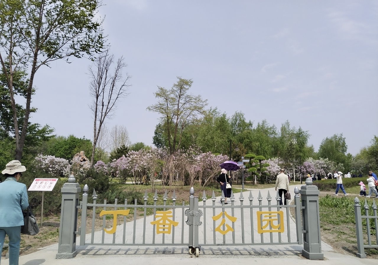 丁香公园