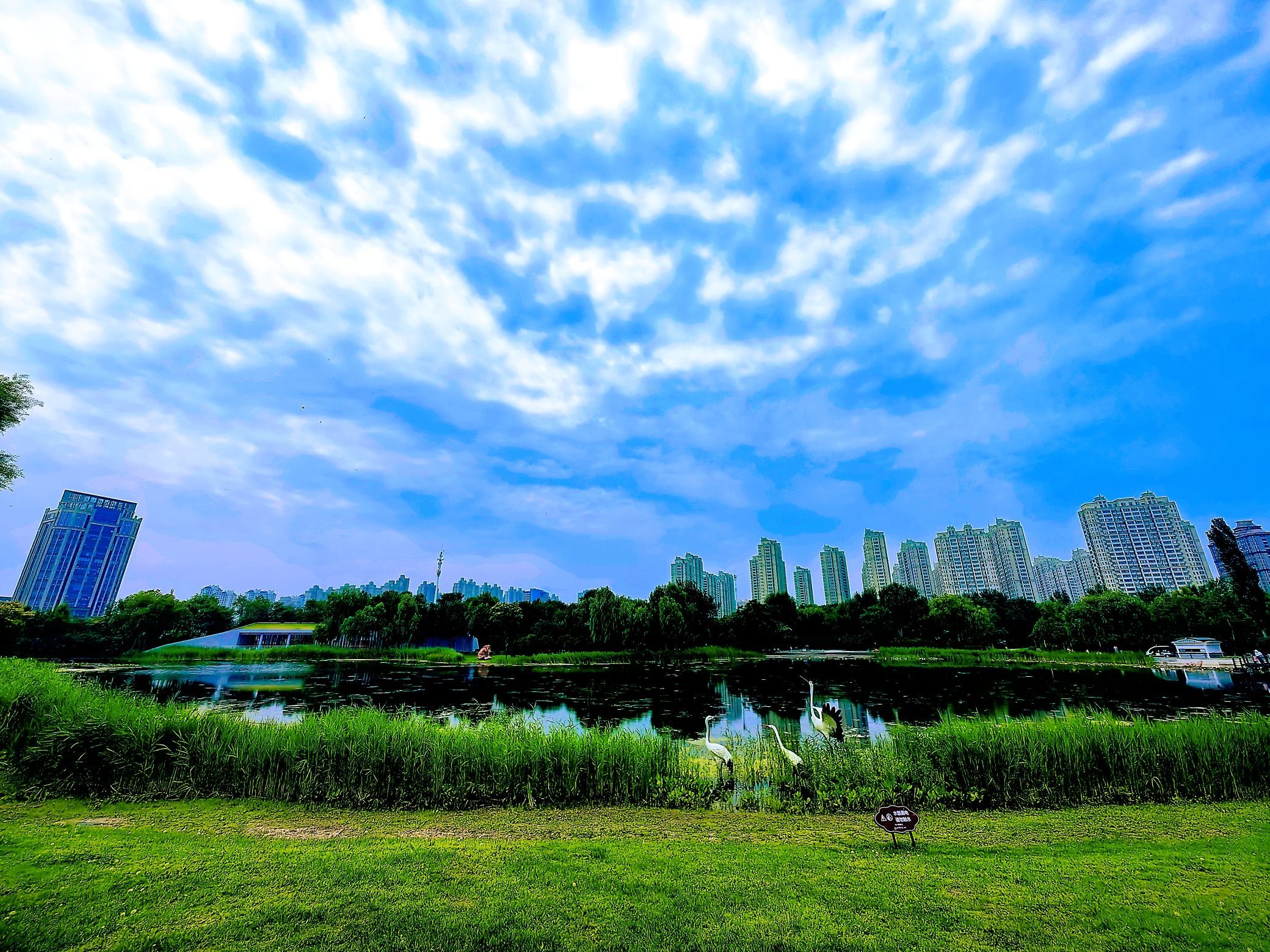 丁香公园旅行图片 1