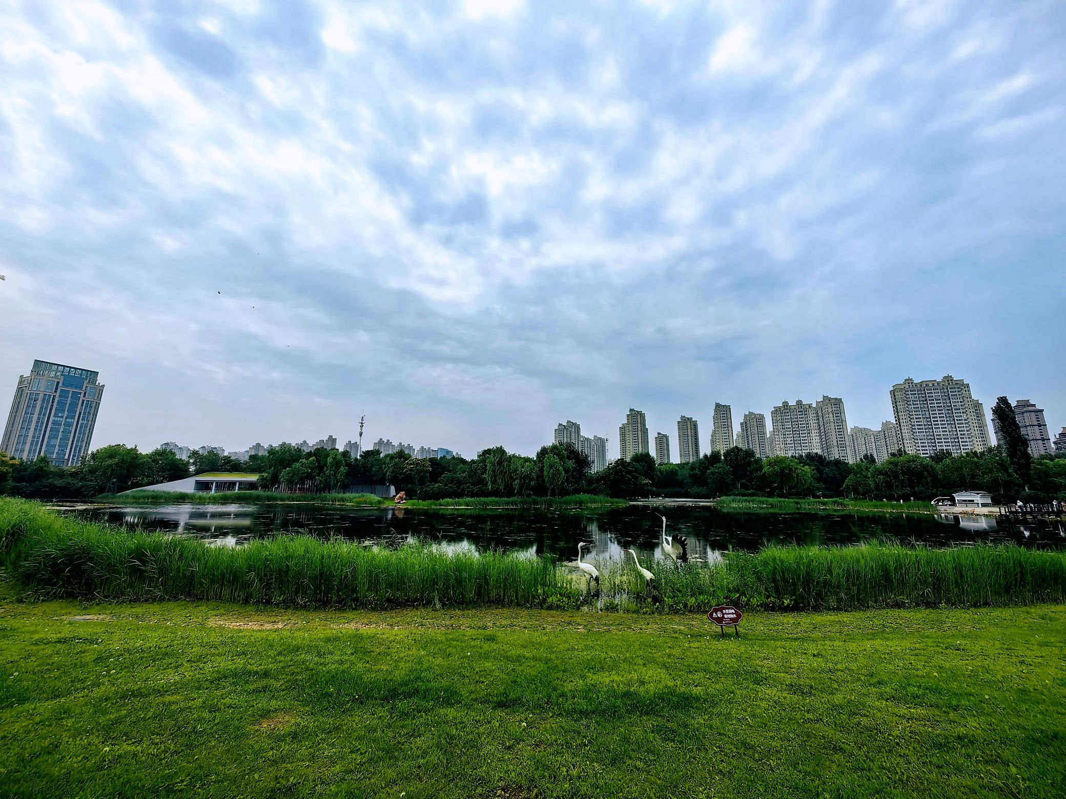 丁香公园旅行图片 2