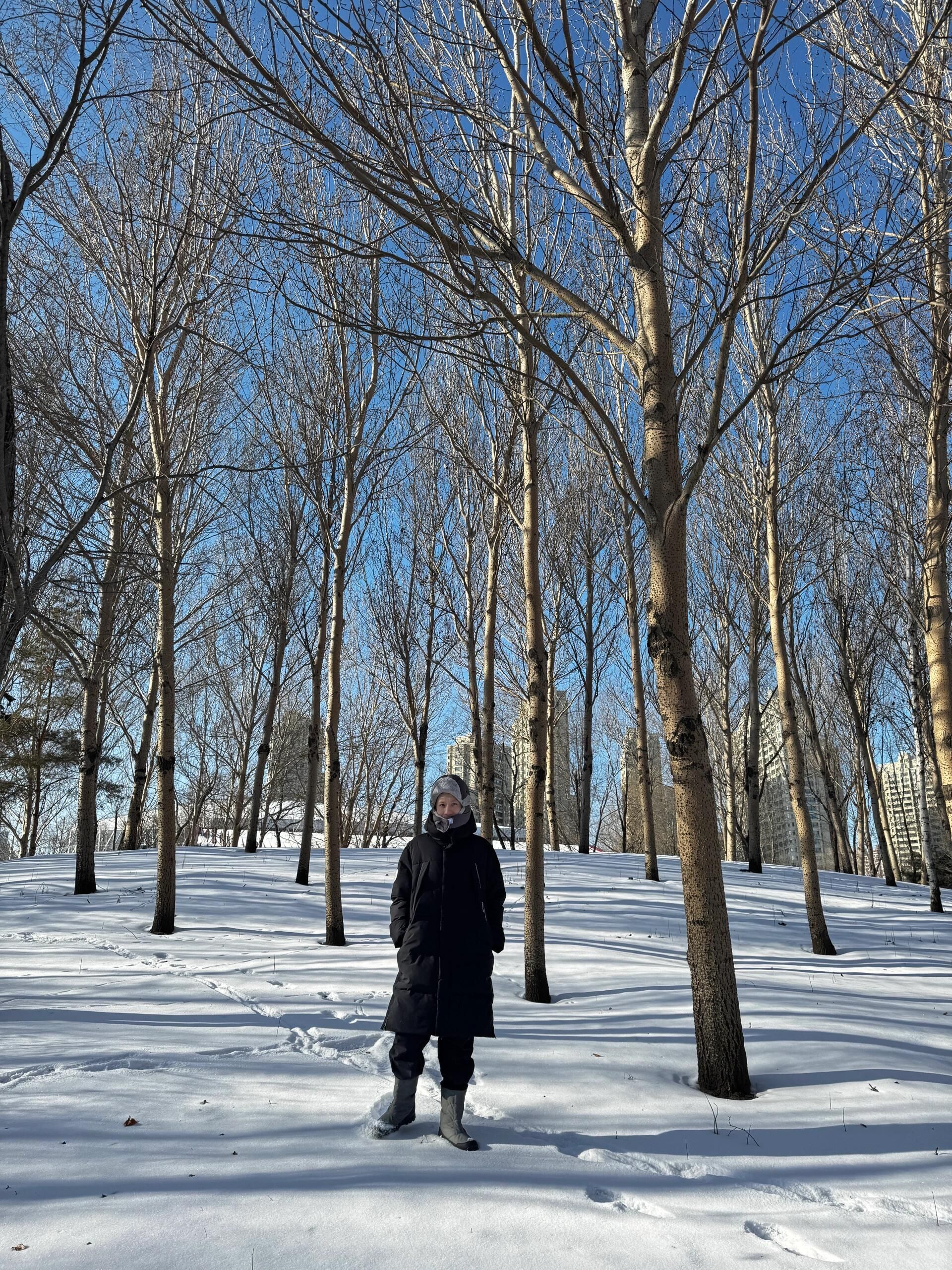 丁香公园旅行图片 3