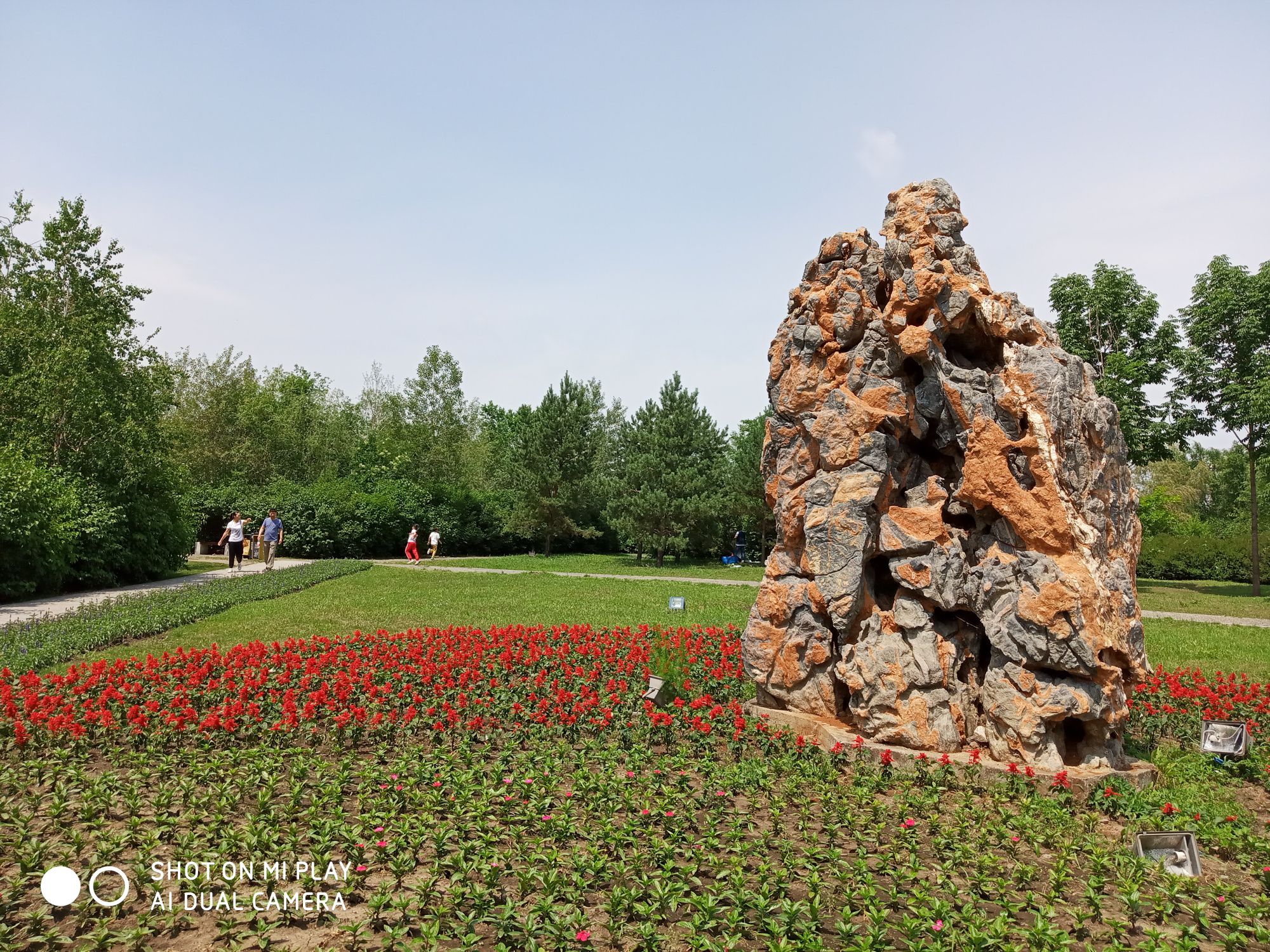 丁香公园旅行图片 2
