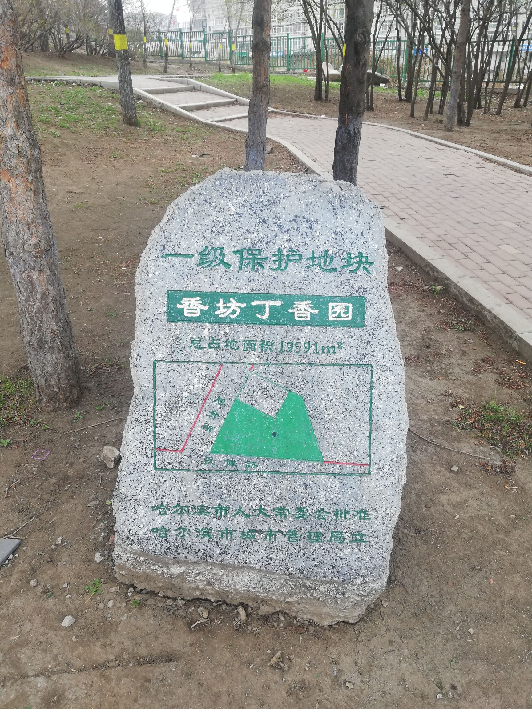 丁香园广场旅行图片 3