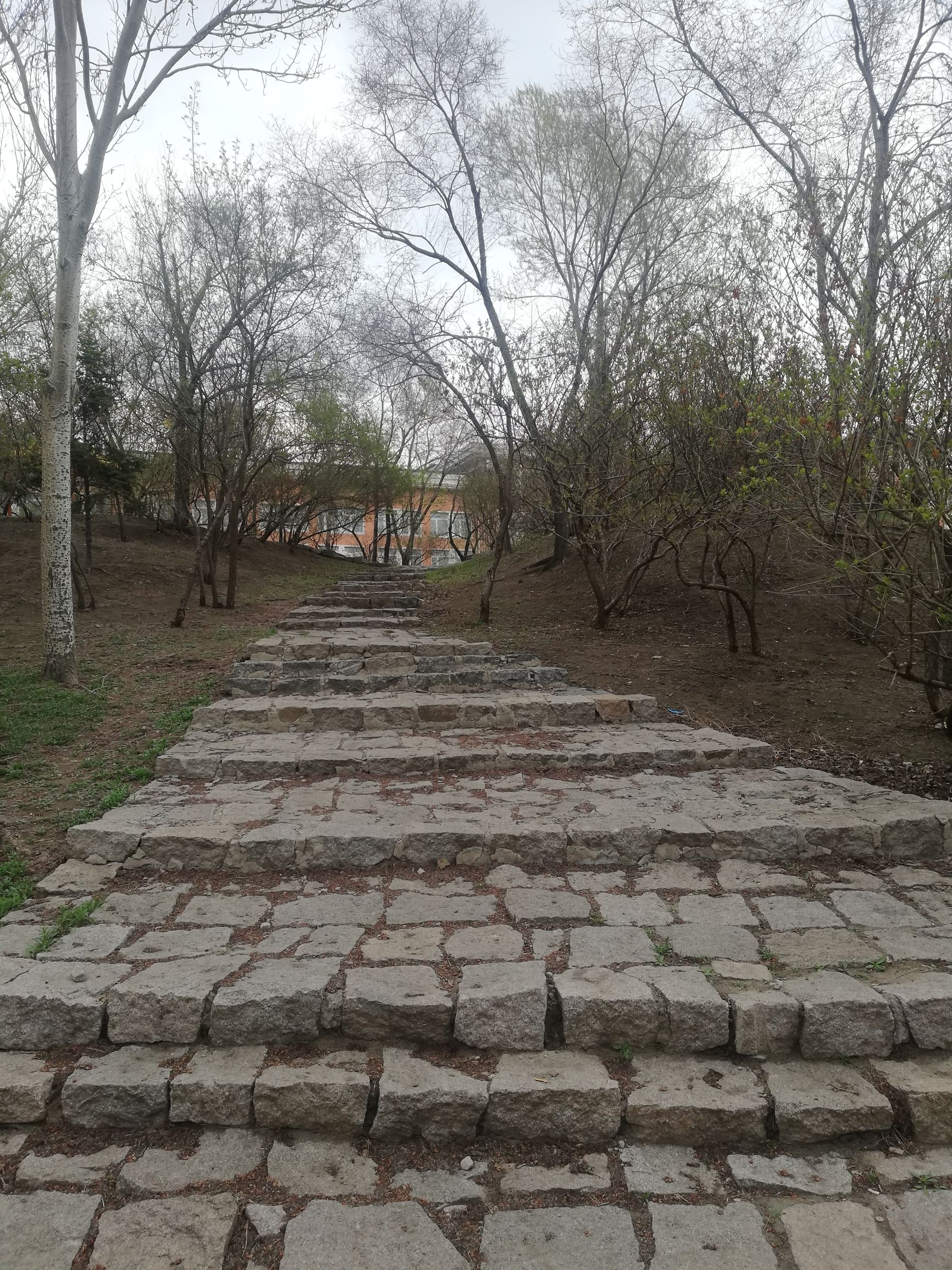 丁香园广场旅行图片 2