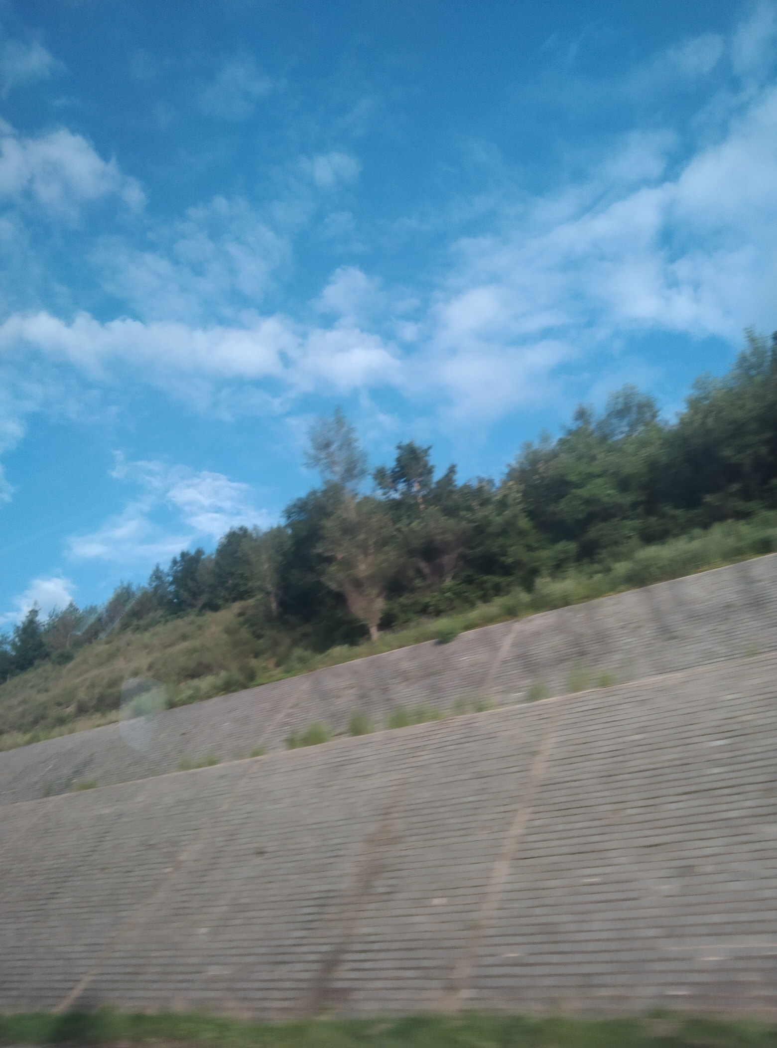 滨江湿地旅游风景区旅行图片 3