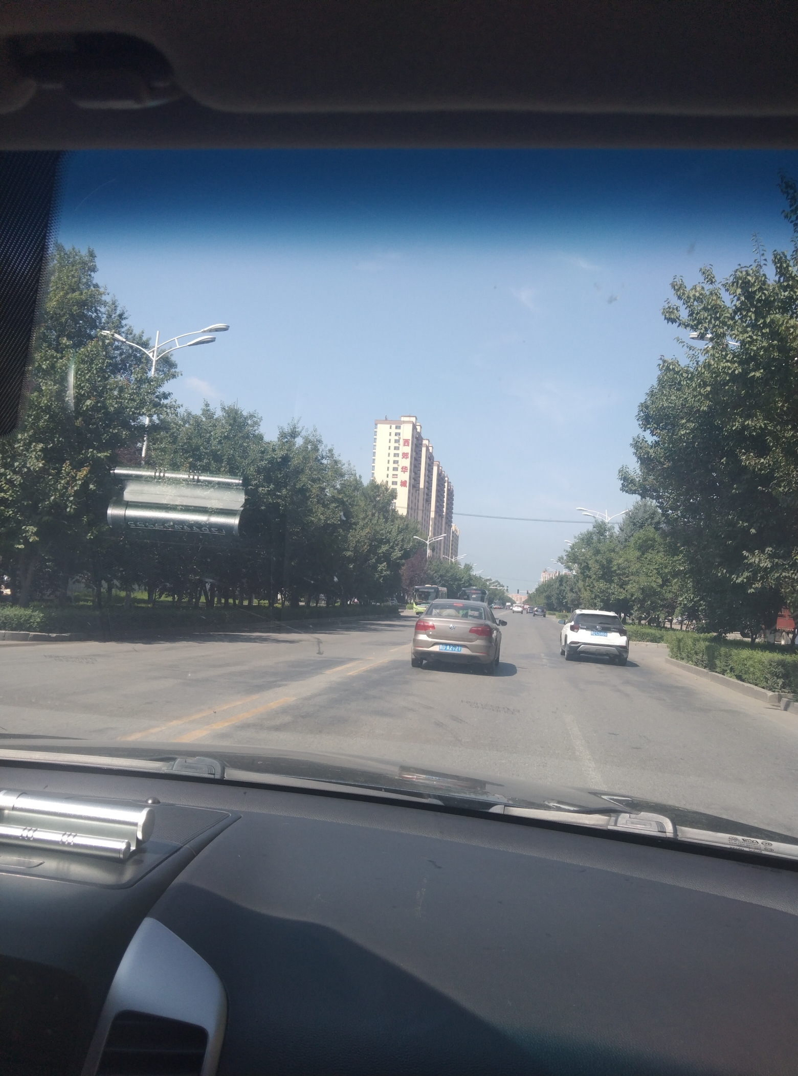 滨江湿地旅游风景区旅行图片 1