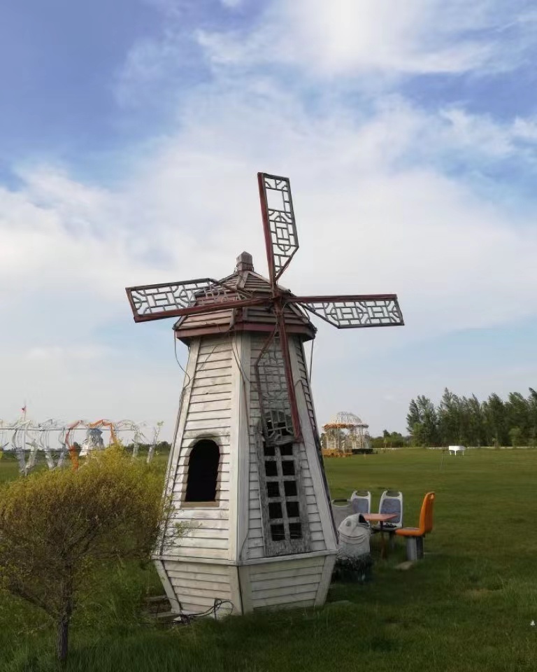 滨江湿地旅游风景区旅行图片 3