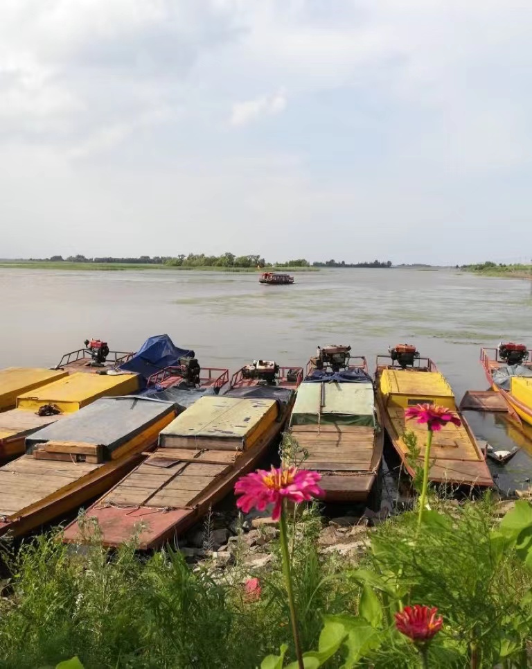 滨江湿地旅游风景区旅行图片 2
