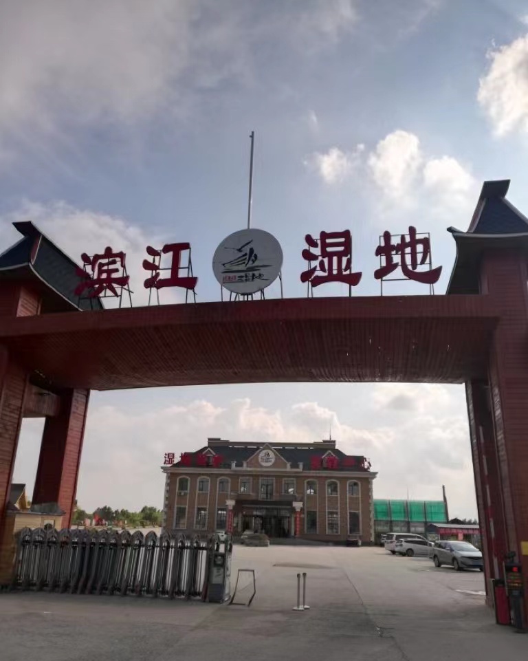 滨江湿地旅游风景区旅行图片 1