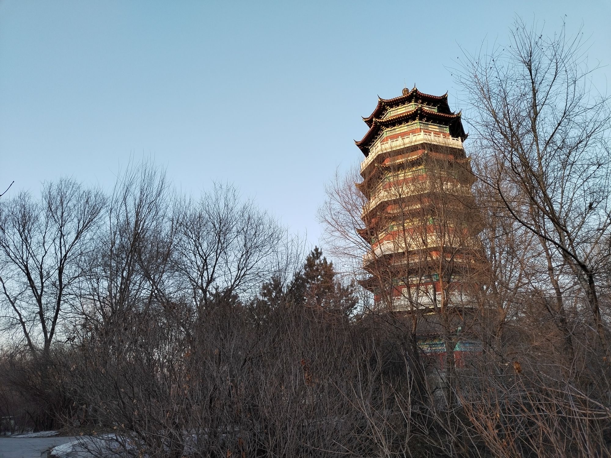 喜鹊公园旅行图片 1