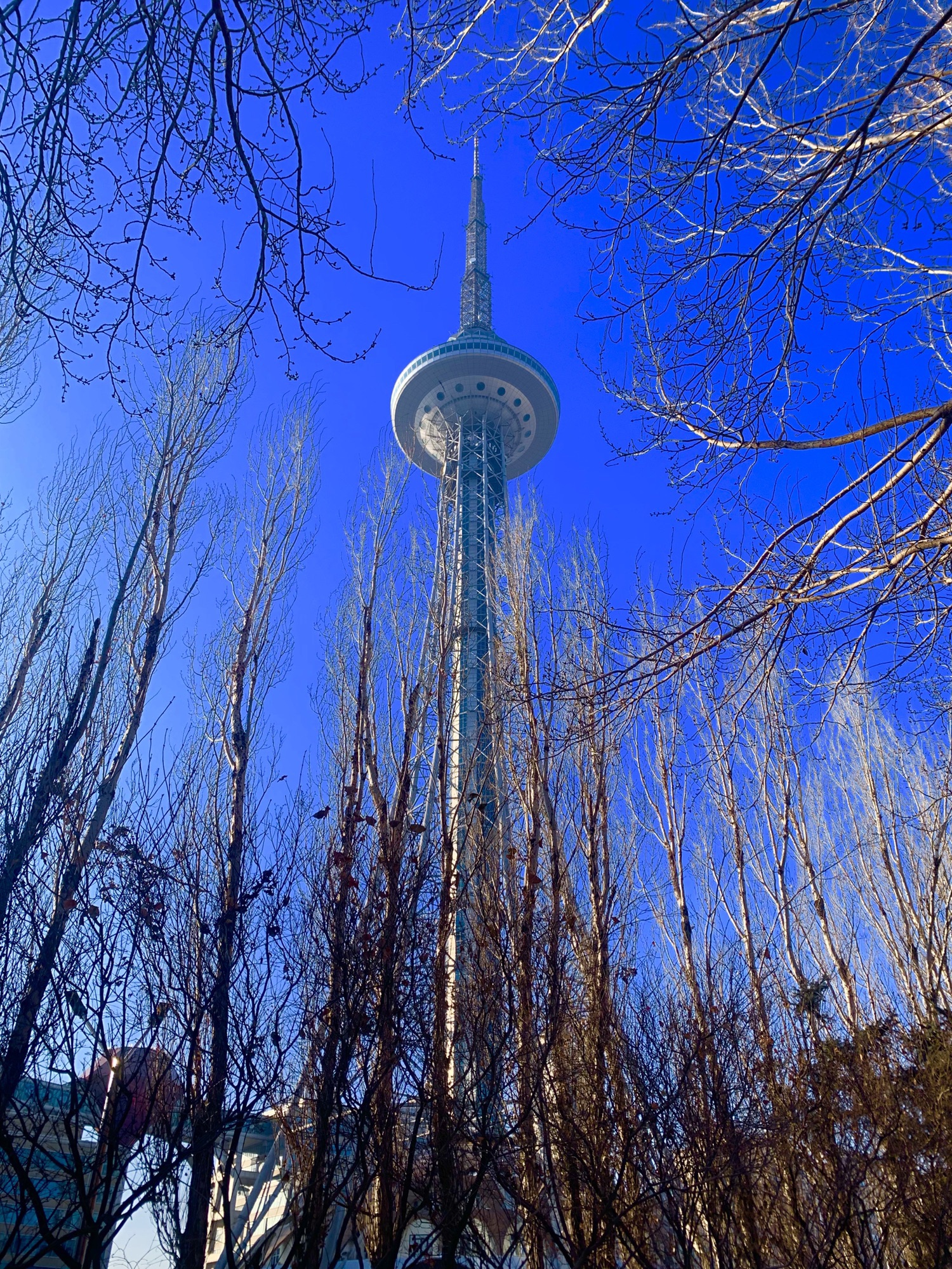📸哈尔滨初体验，冰雪奇缘超全攻略来啦！❄️