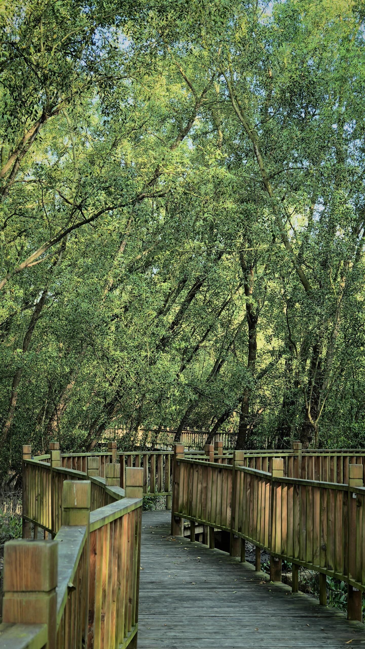 呼兰河口湿地公园旅行图片 2