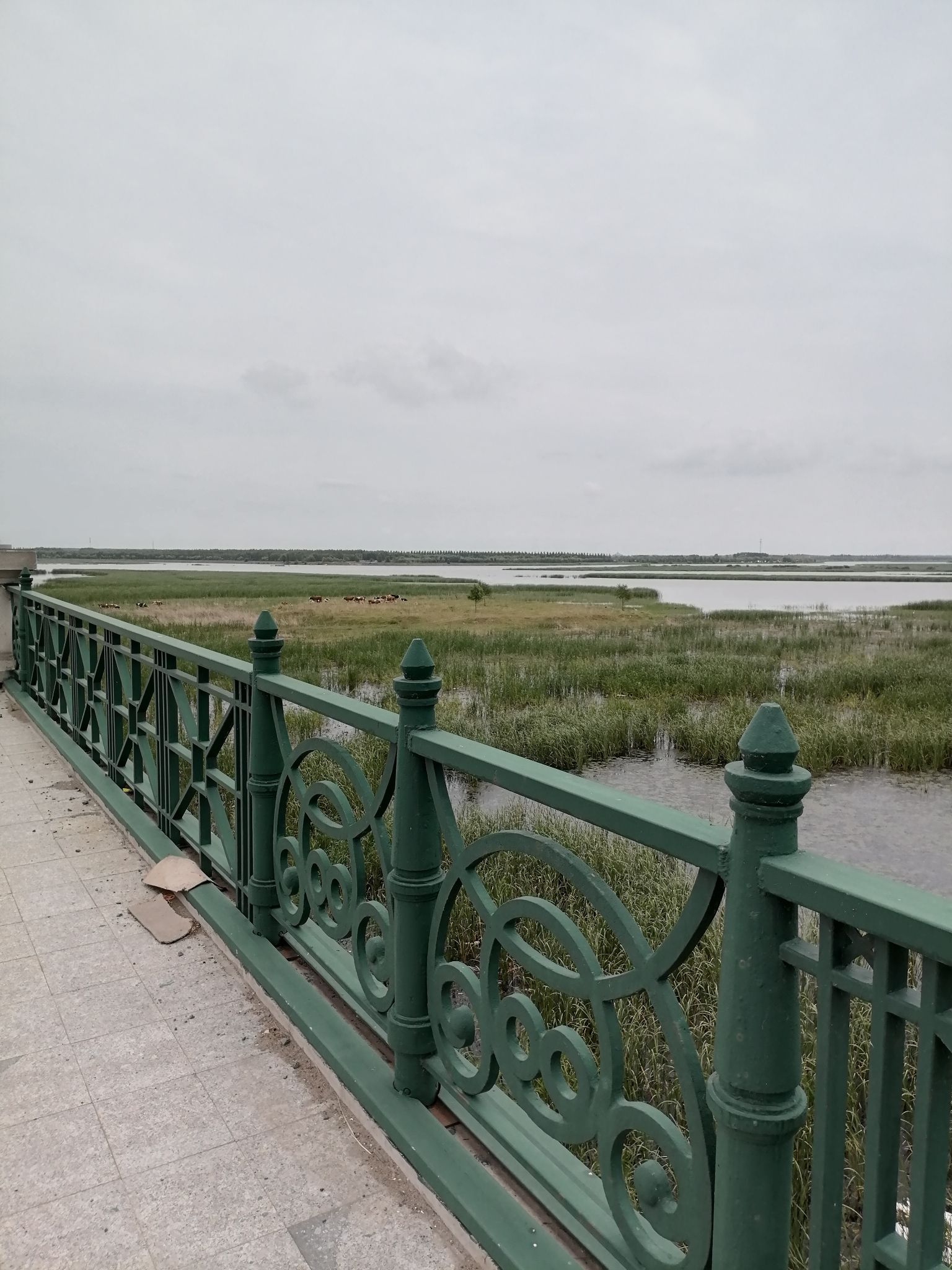 呼兰河口湿地公园旅行图片 1