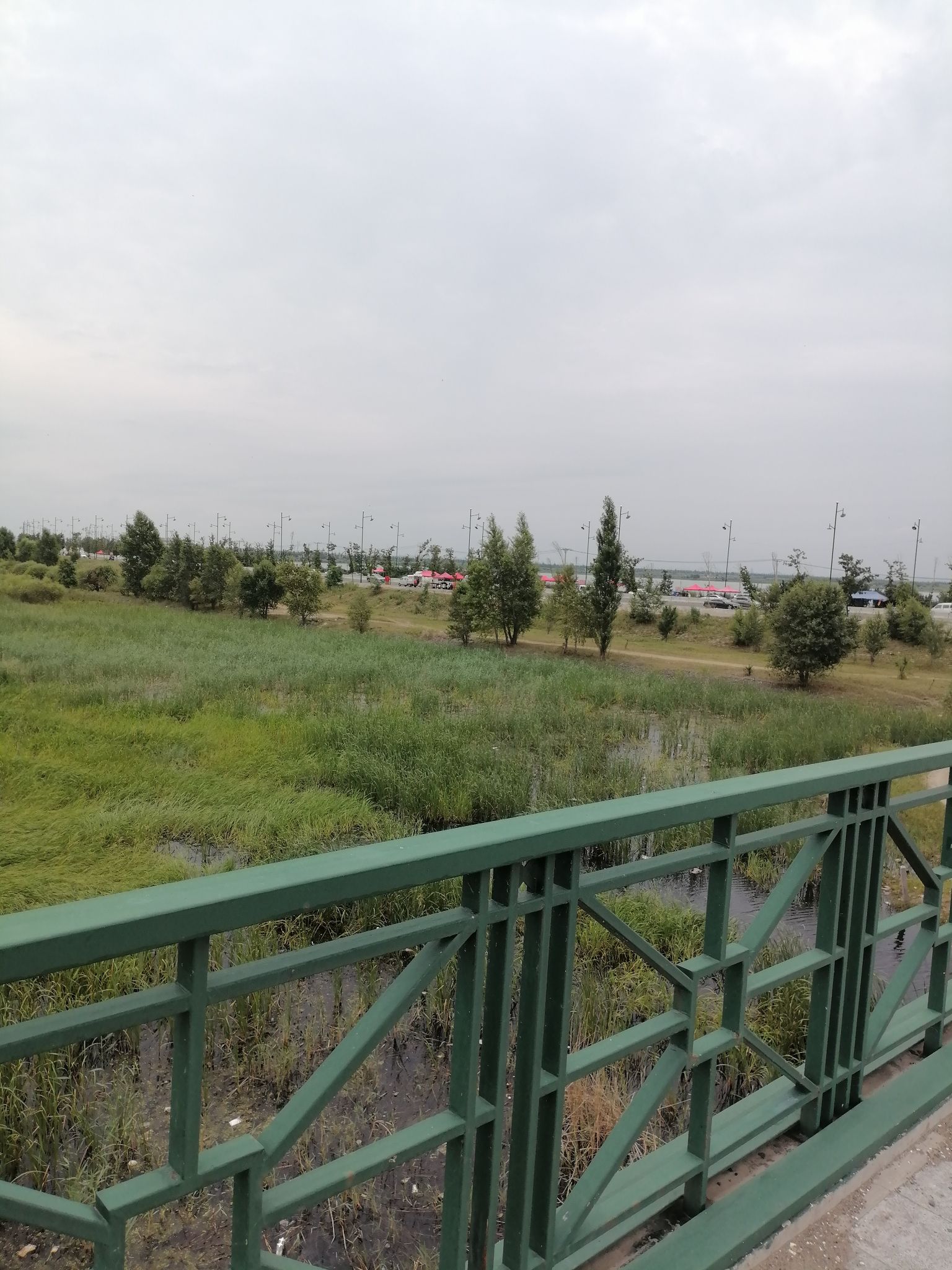 呼兰河口湿地公园旅行图片 2