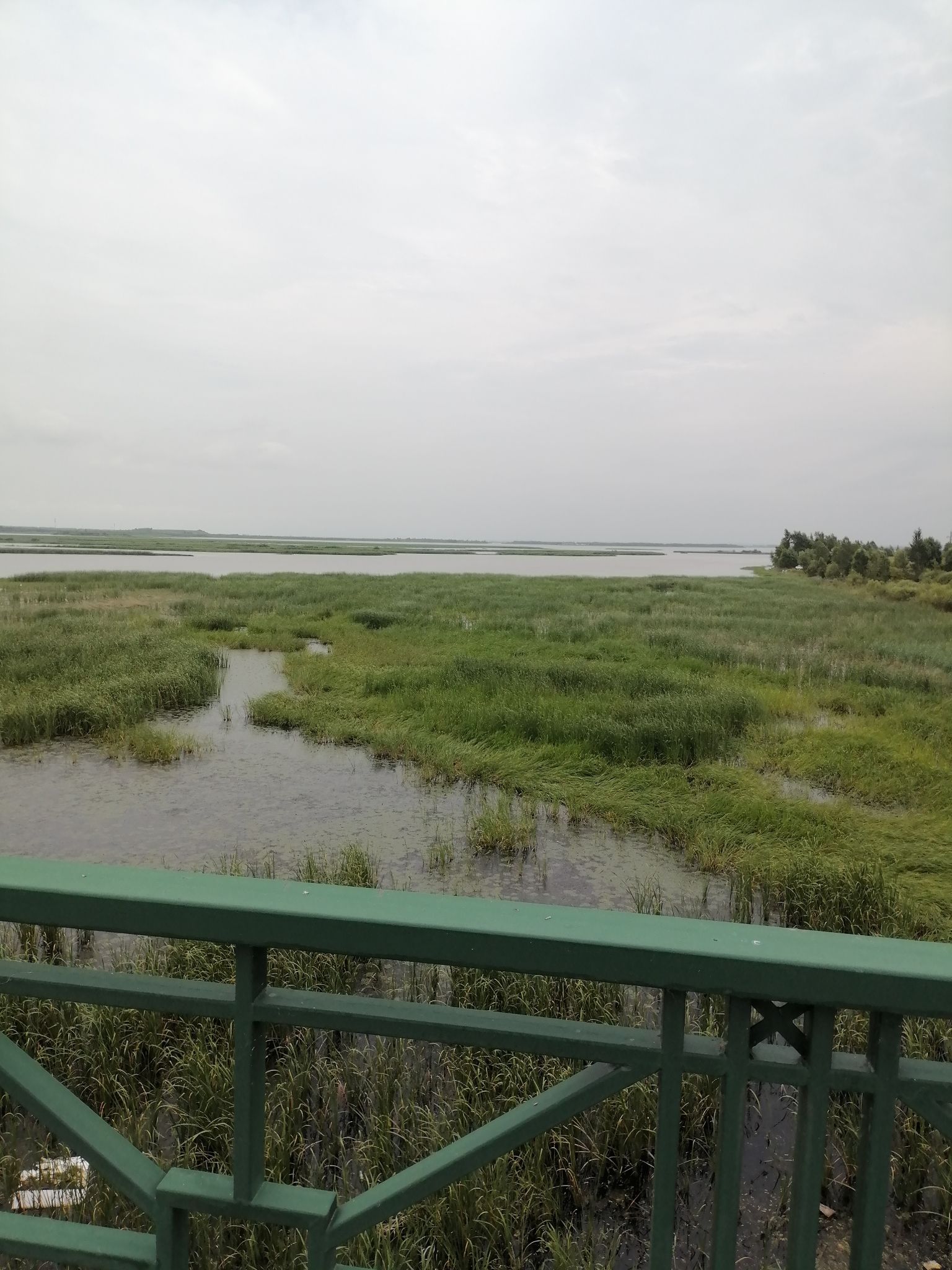呼兰河口湿地公园旅行图片 3
