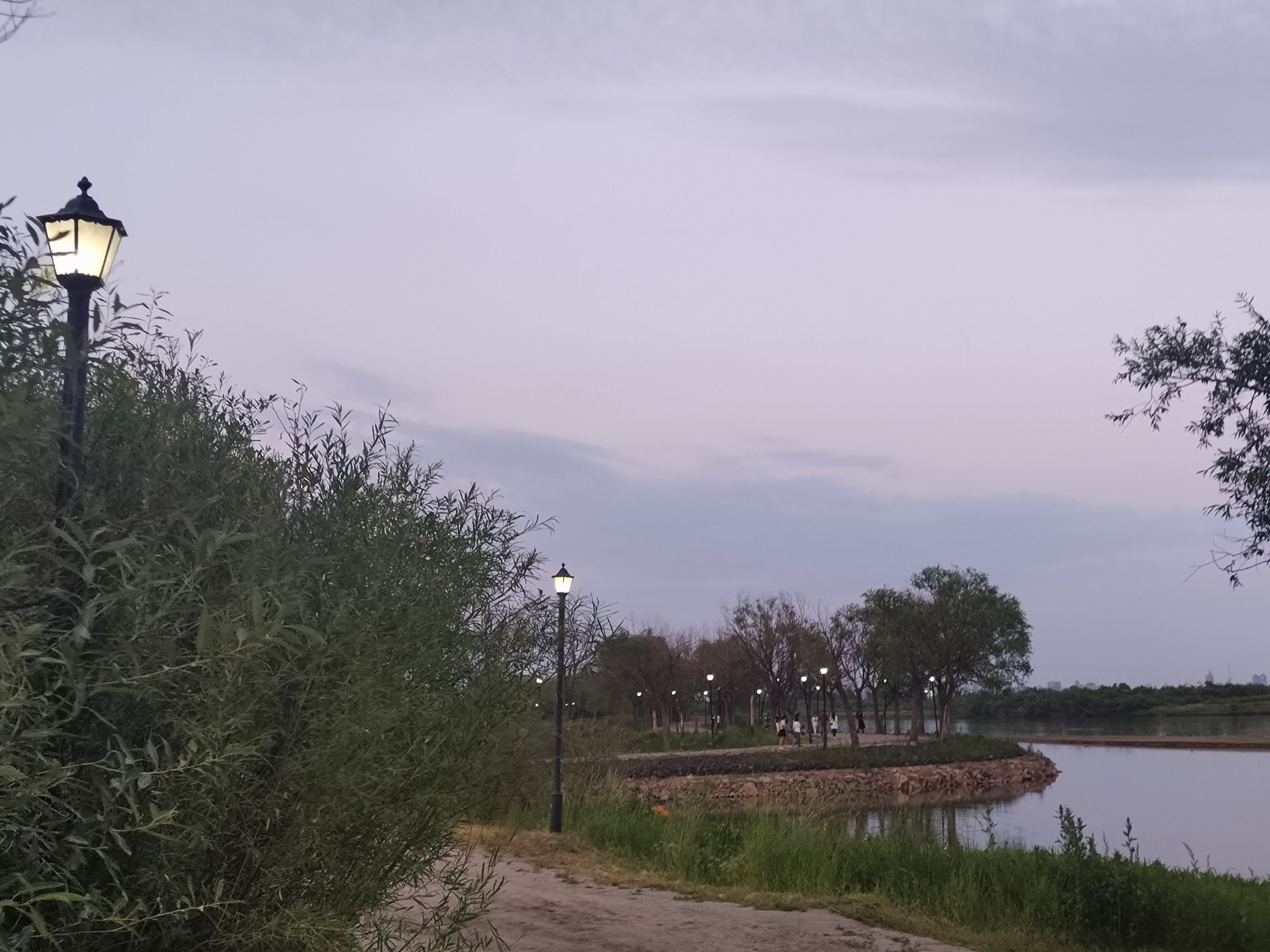松花江湿地旅行图片 3