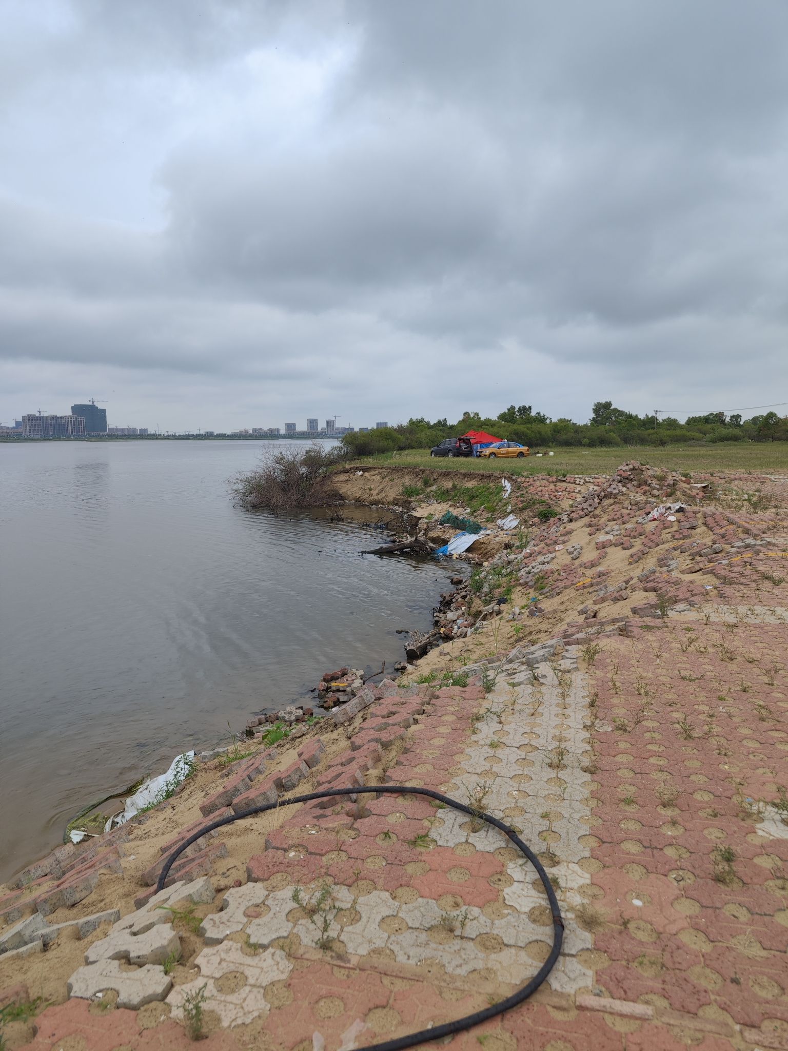 滨江湿地金沙滩风景区旅行图片 3
