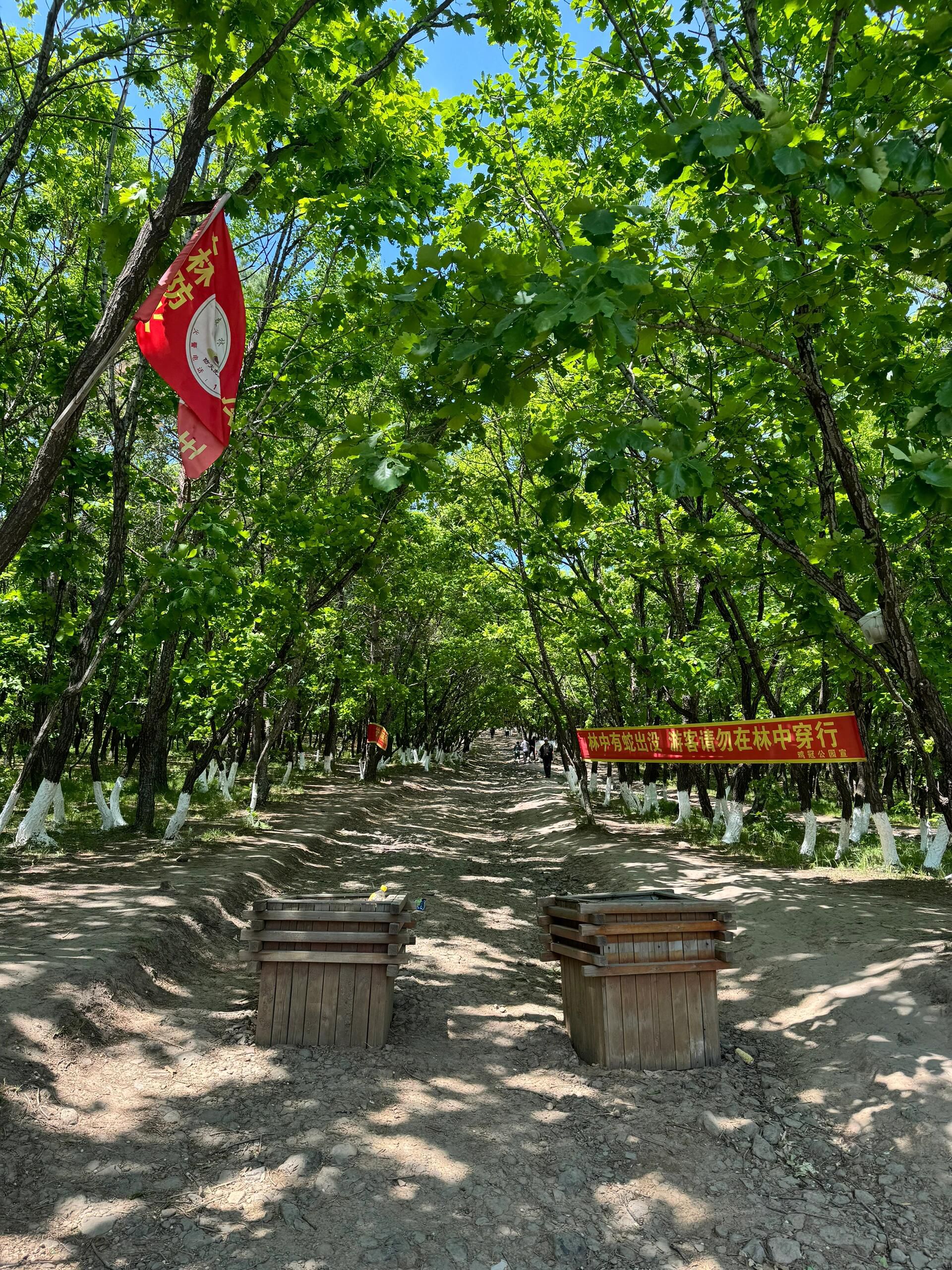 鸡冠山景区(暂停开放)旅行图片 2