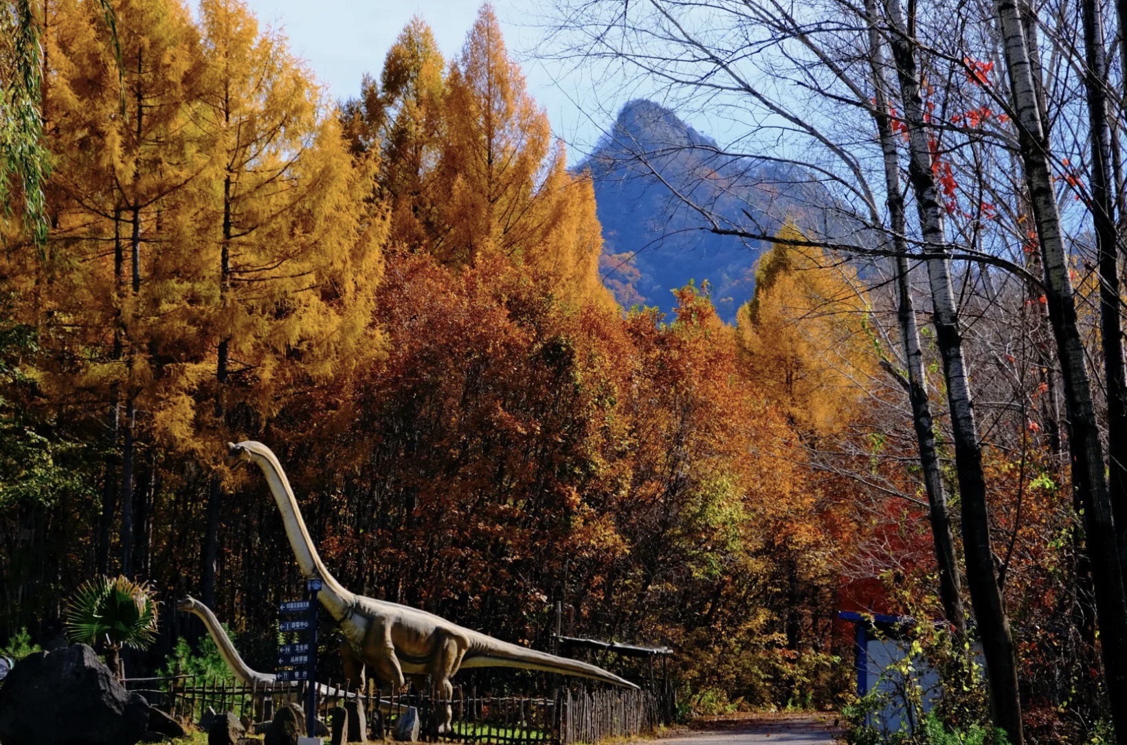 鸡冠山景区(暂停开放)旅行图片 2