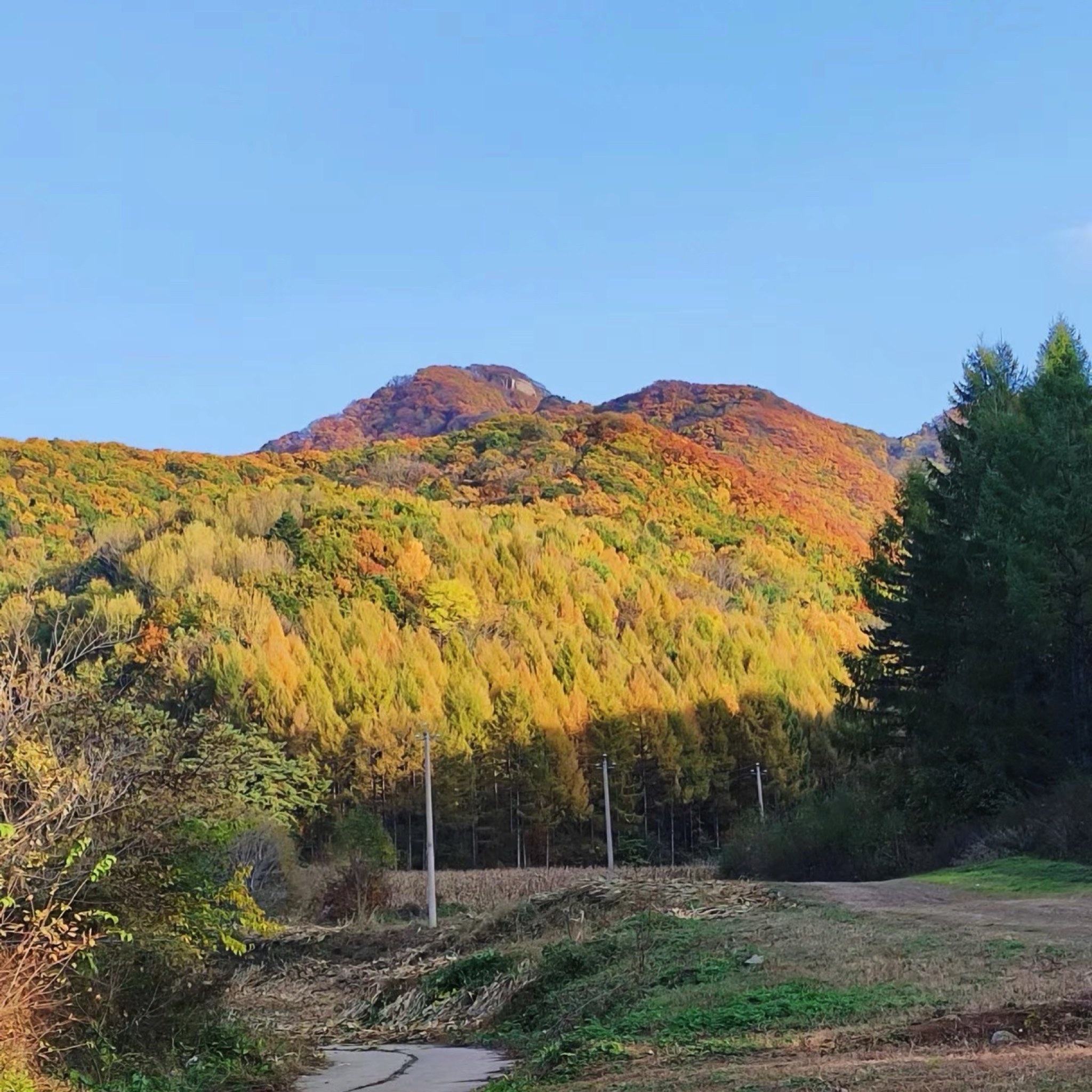 鸡冠山景区(暂停开放)旅行图片 2