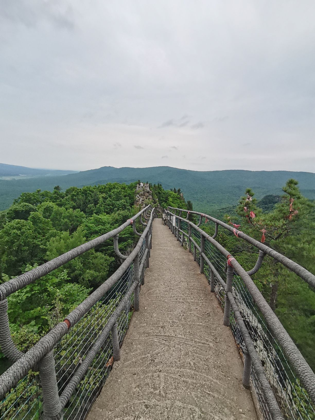 鸡冠山景区(暂停开放)旅行图片 3