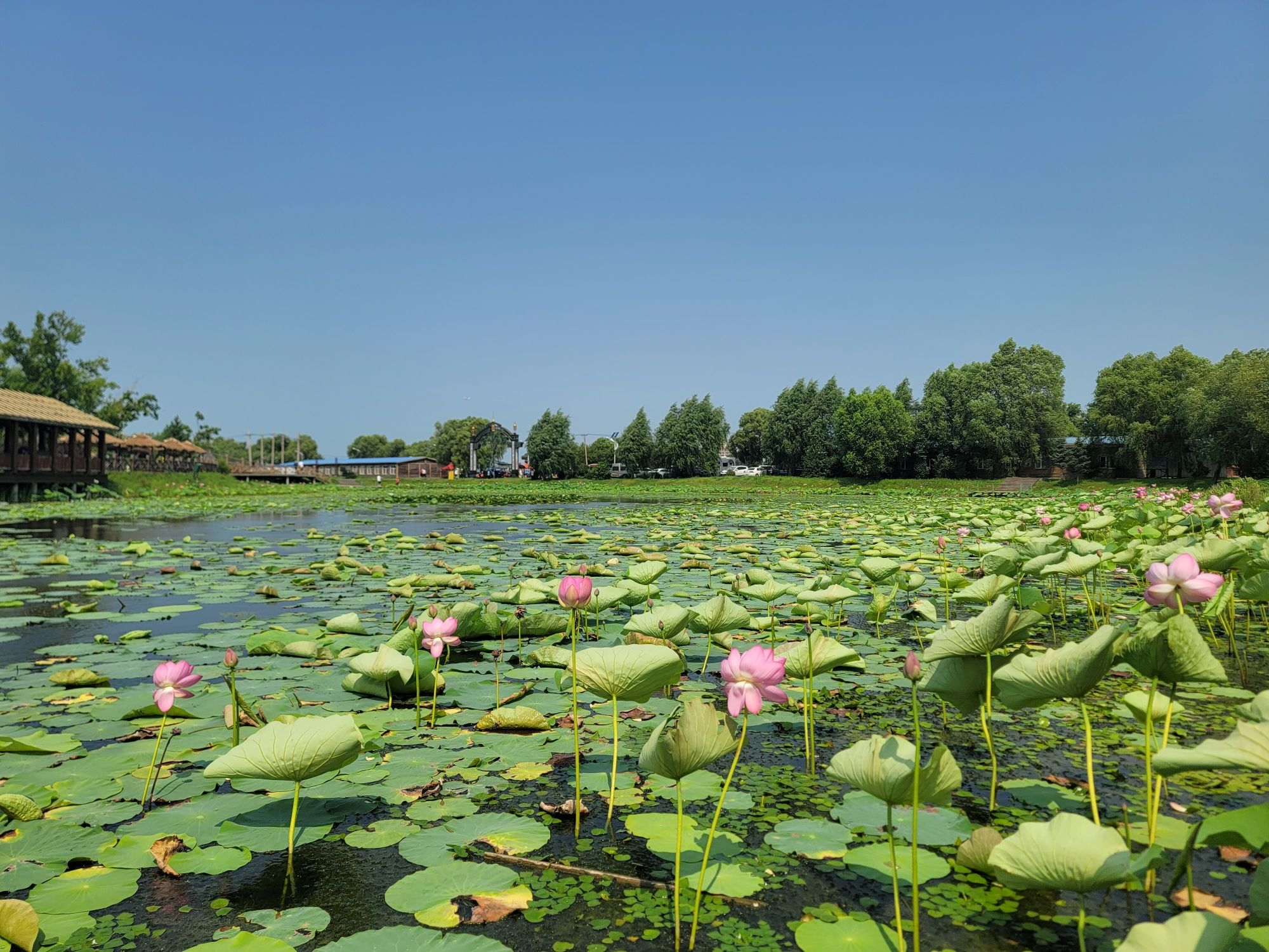 长岭湖旅游区旅行图片 3