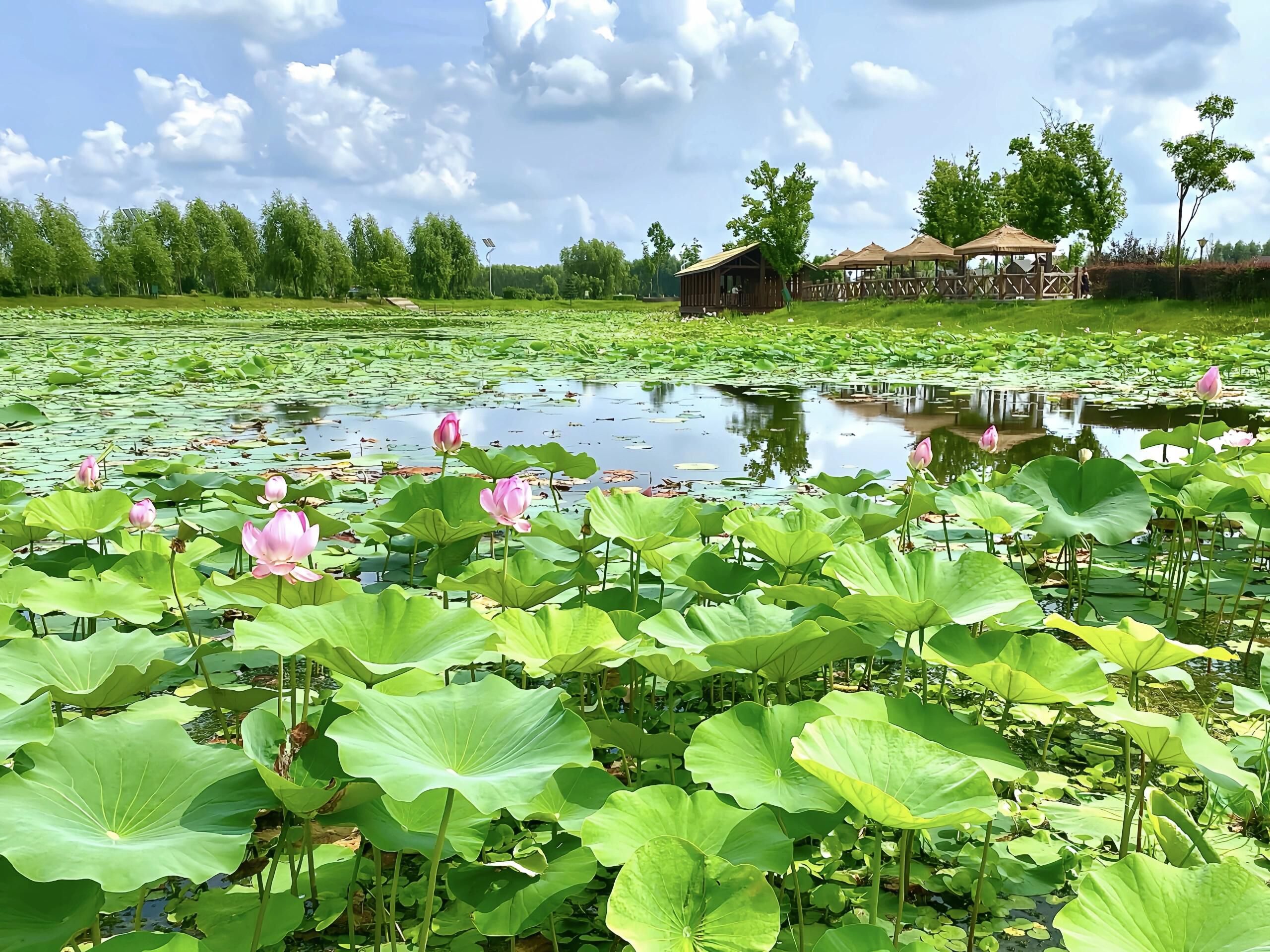 长岭湖旅游区旅行图片 2