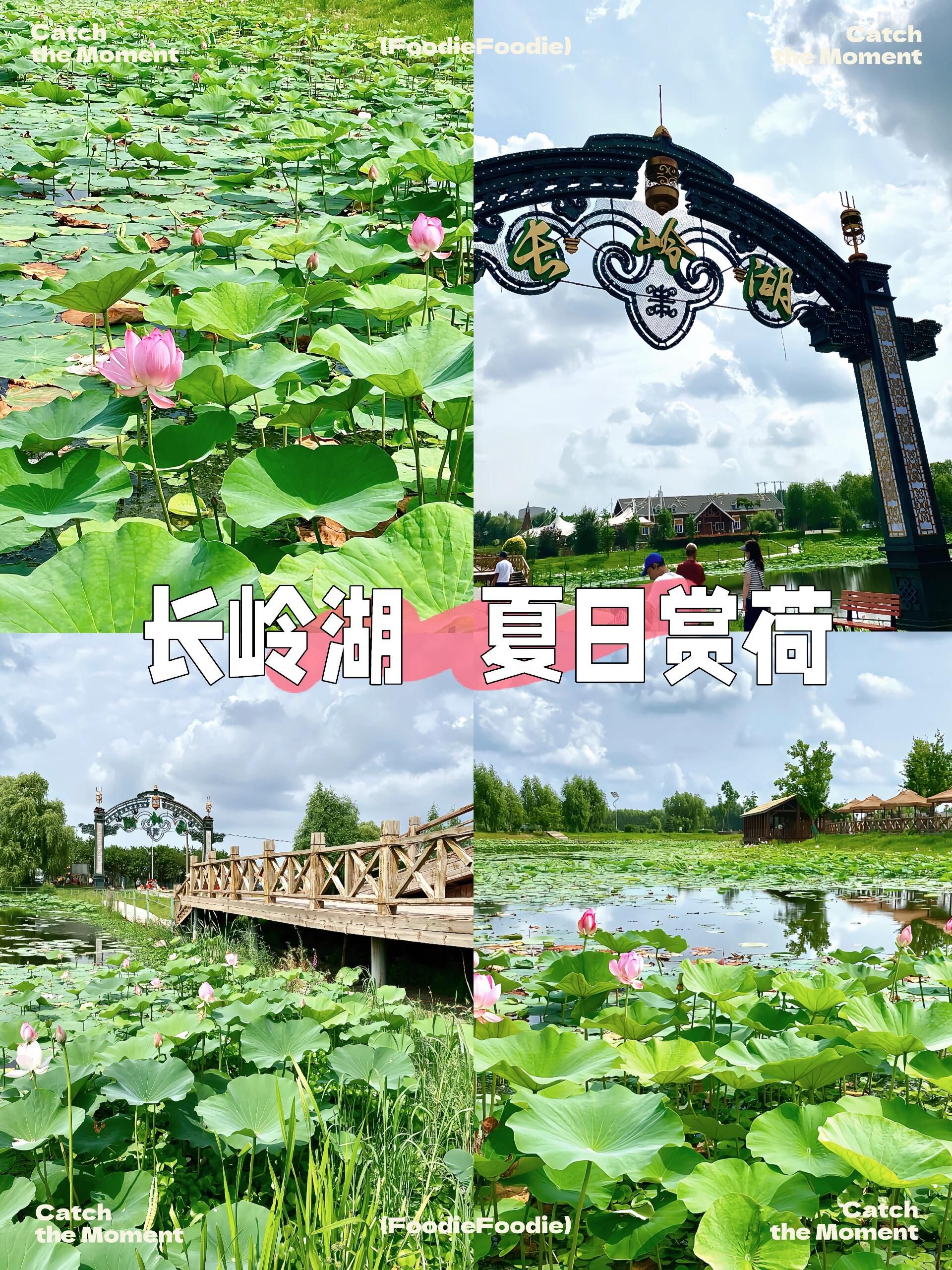 长岭湖旅游区旅行图片 1