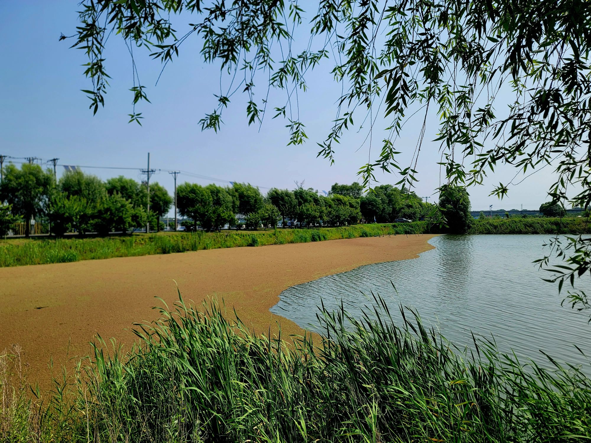 长岭湖旅游区旅行图片 2