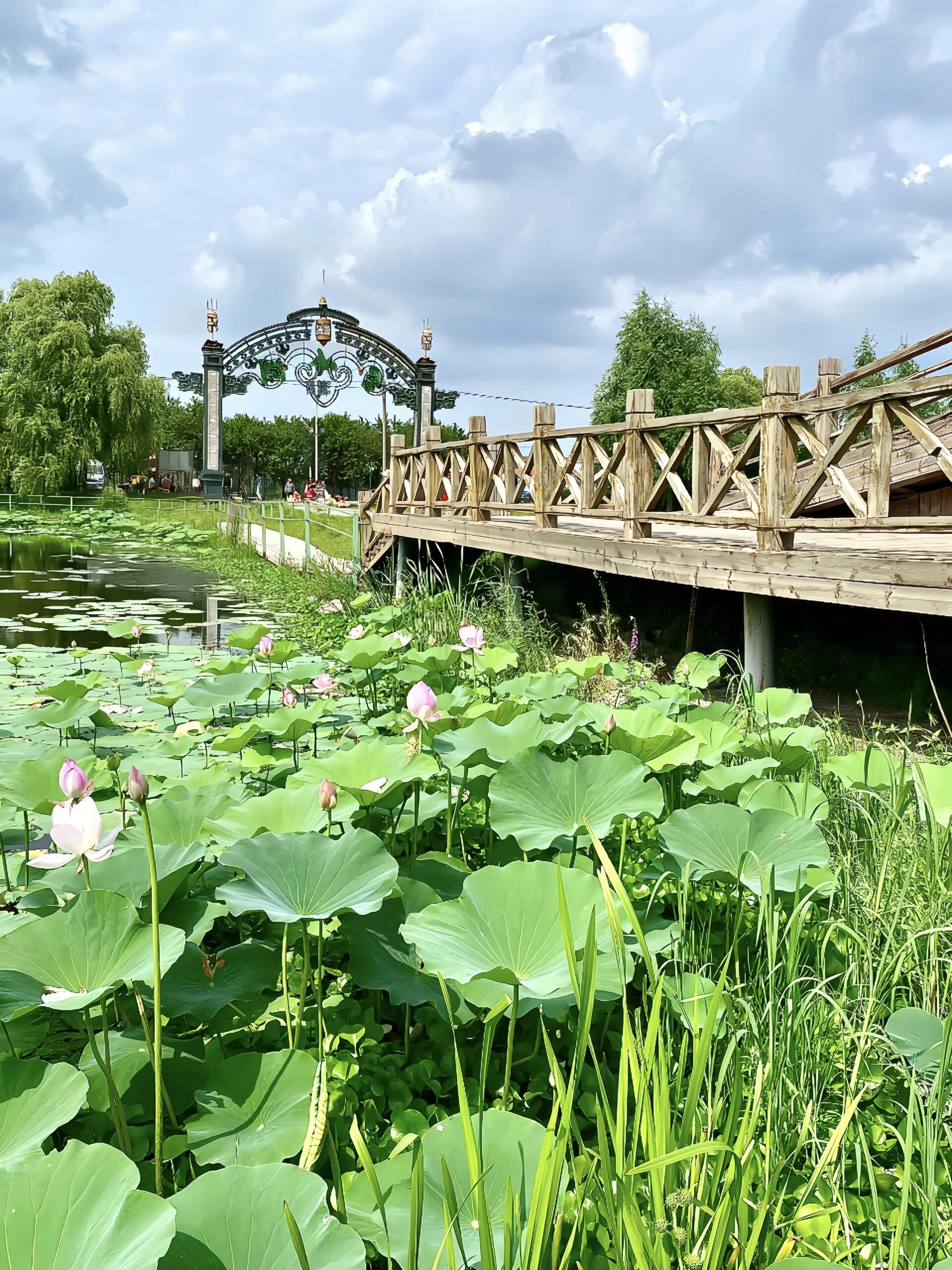 长岭湖旅游区旅行图片 3