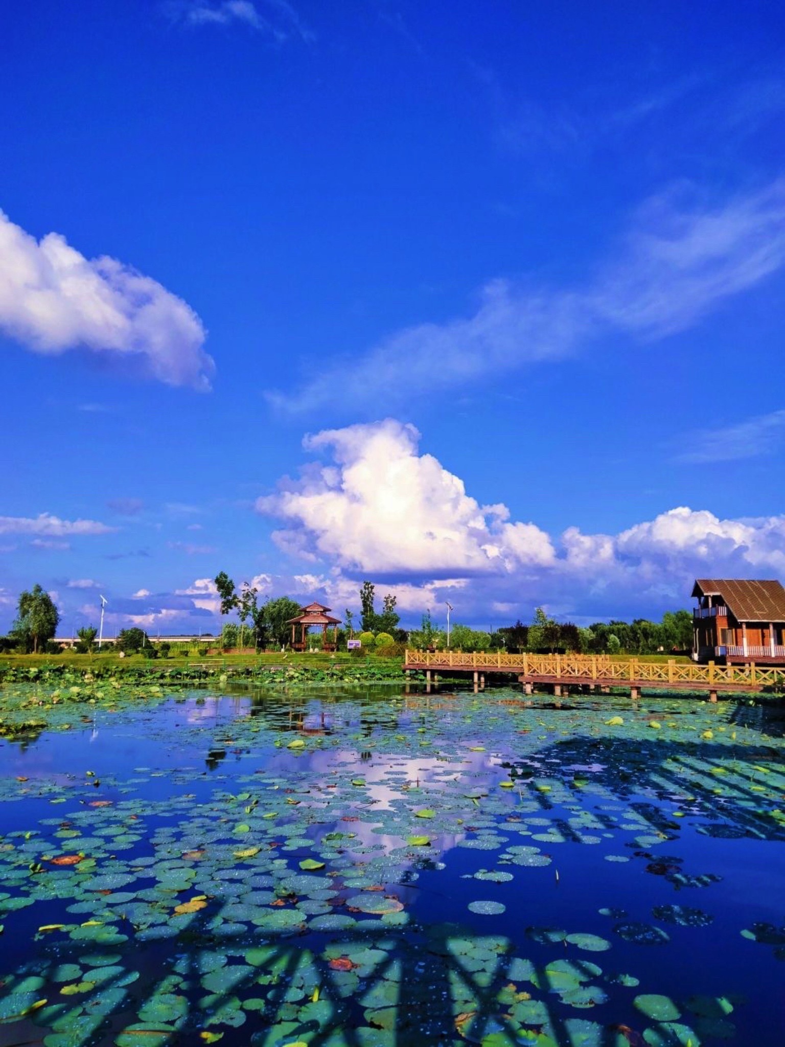 长岭湖旅游区旅行图片 1