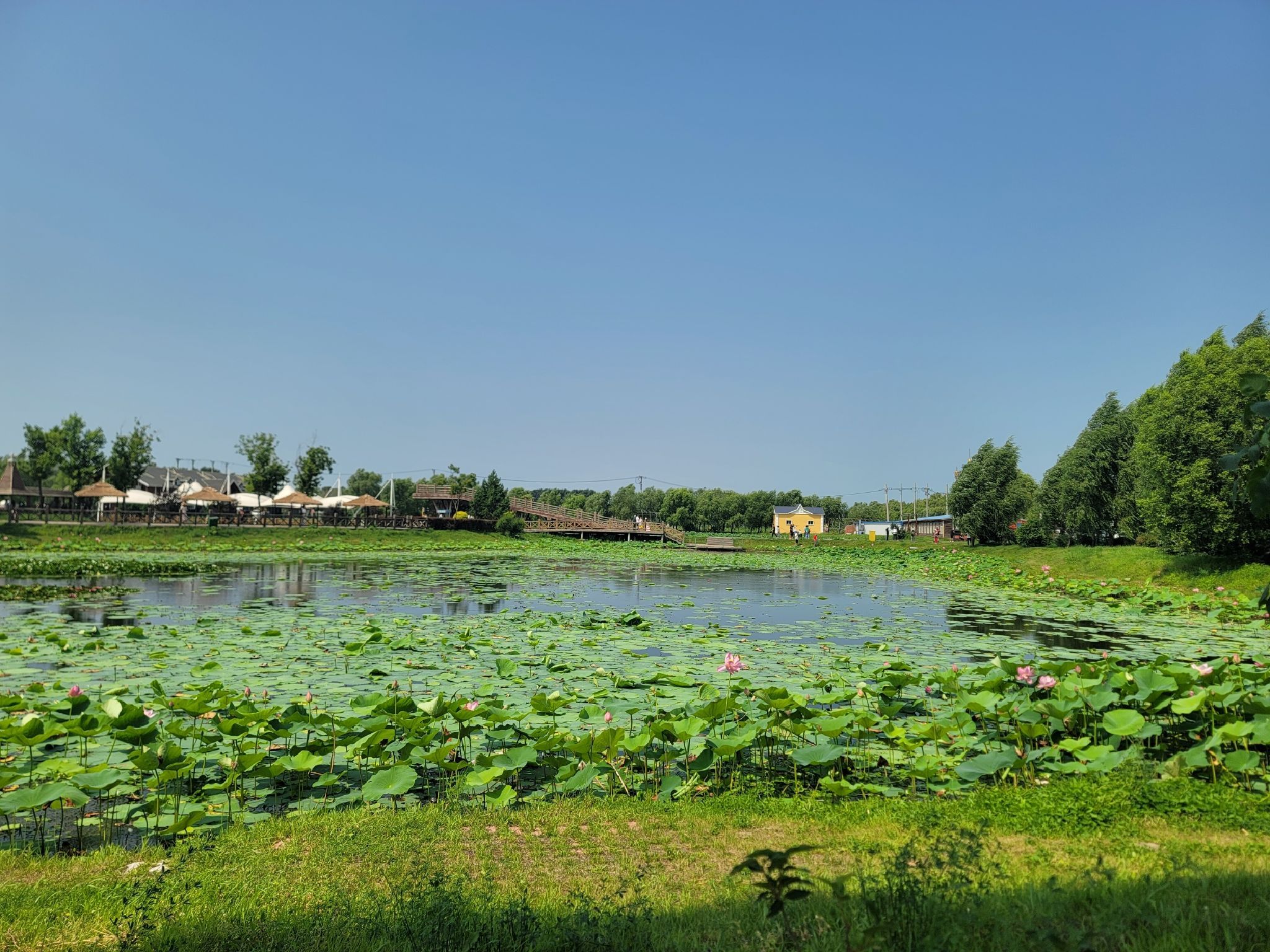 长岭湖旅游区旅行图片 1