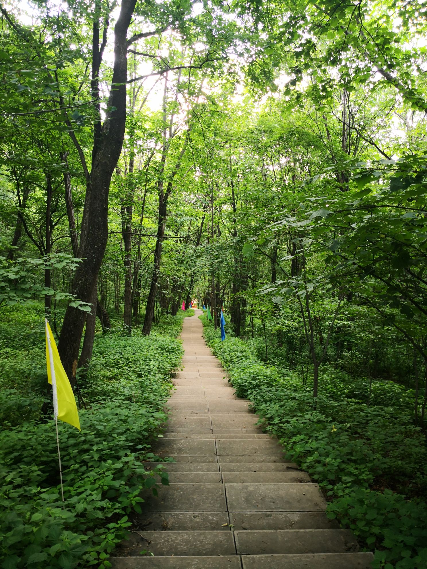 万佛山景区旅行图片 2