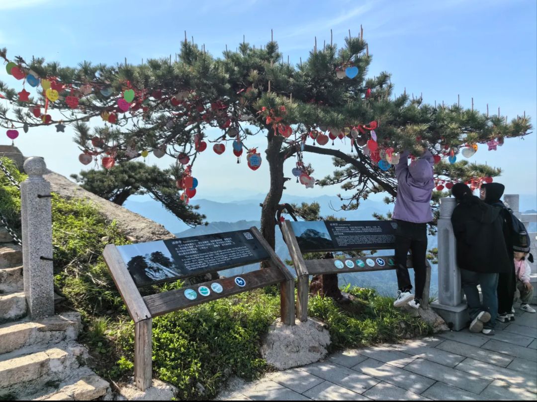 万佛山景区旅行图片 3