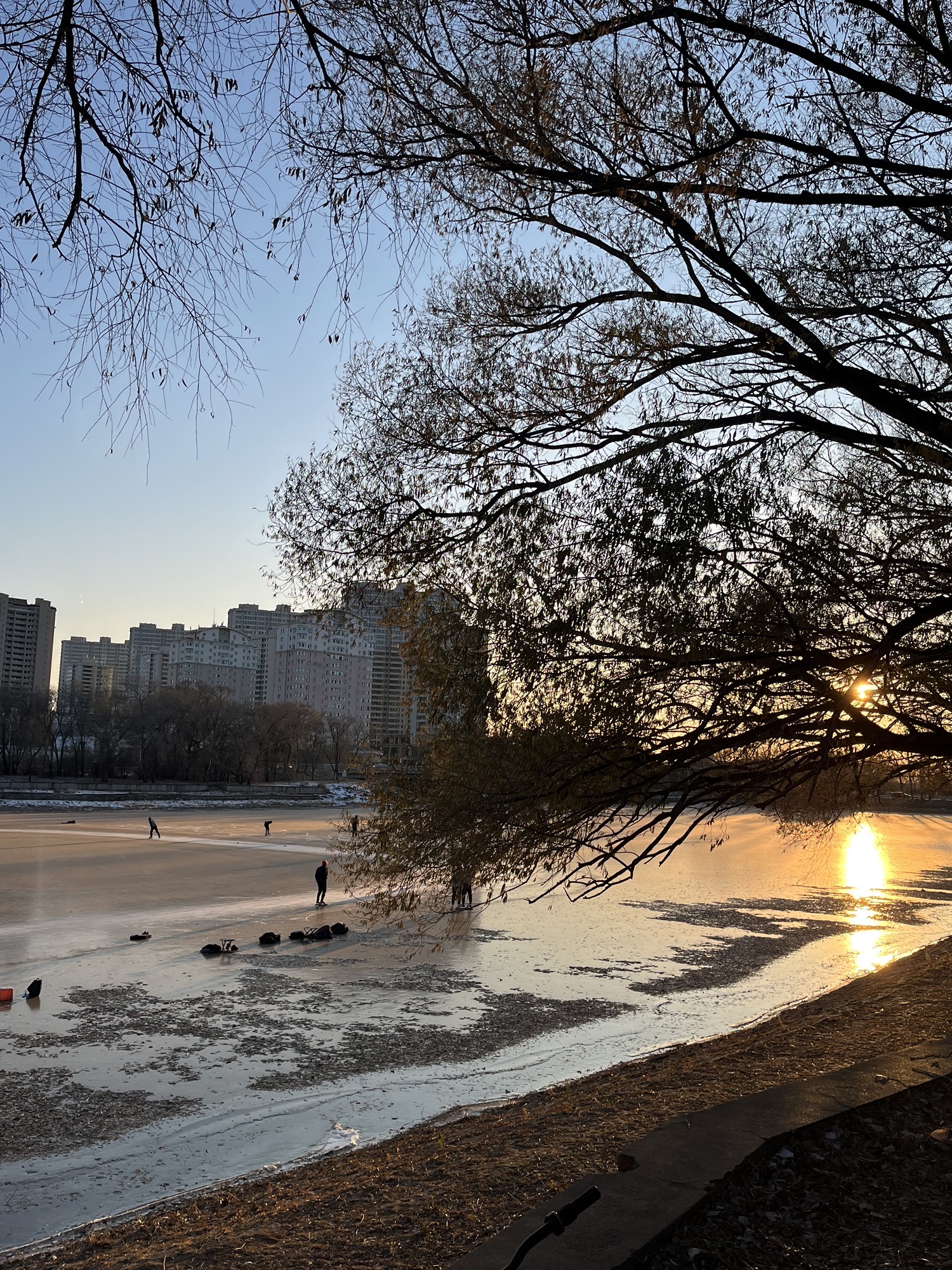 嫩江公园旅行图片 1