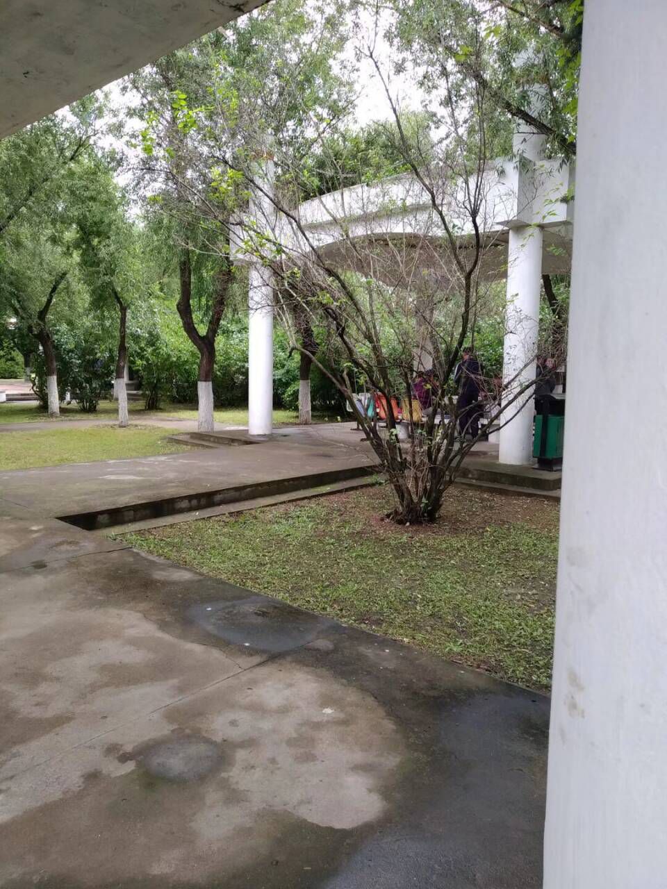 嫩江公园旅行图片 3